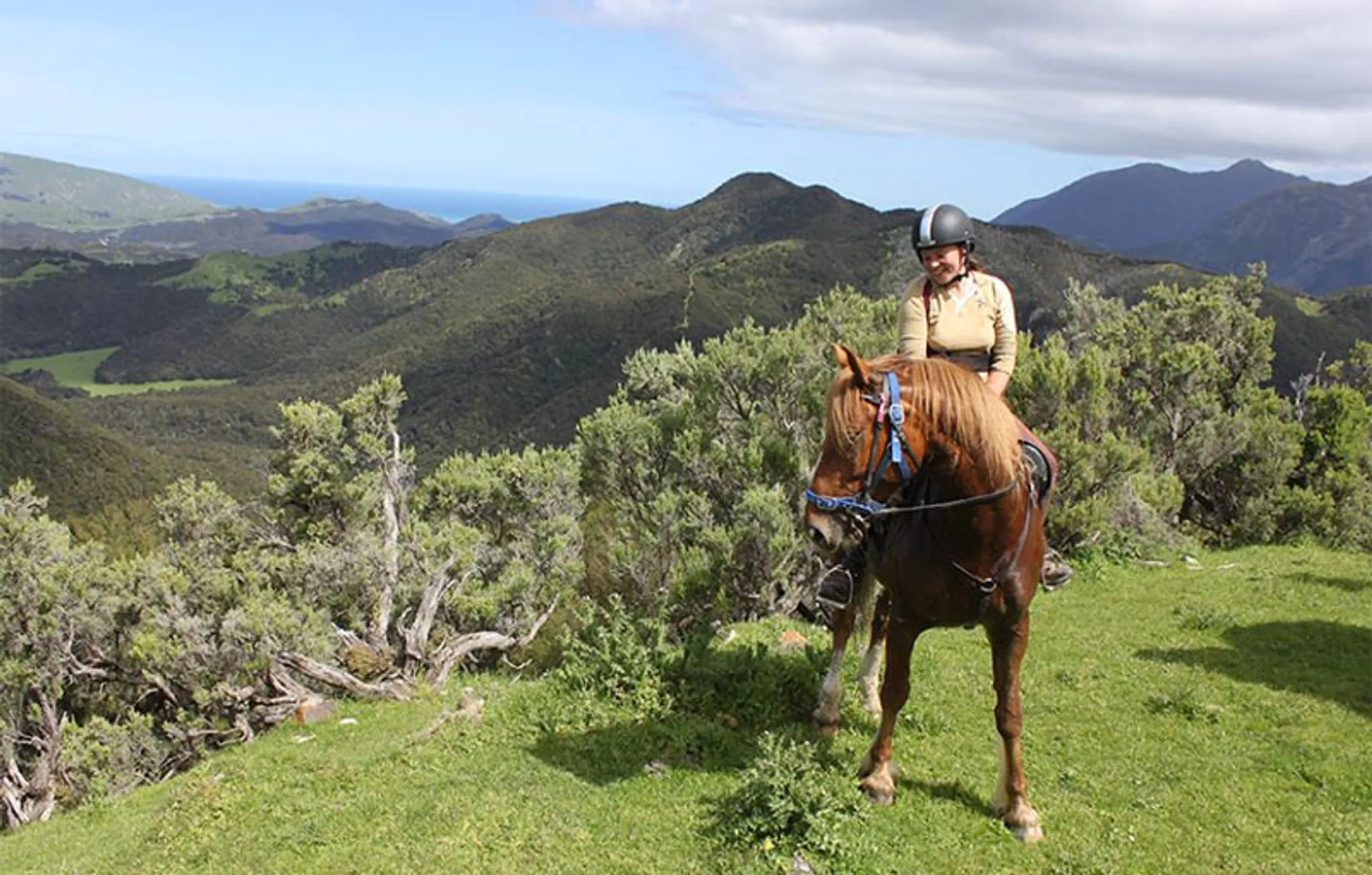 Heavenly Horse Treks