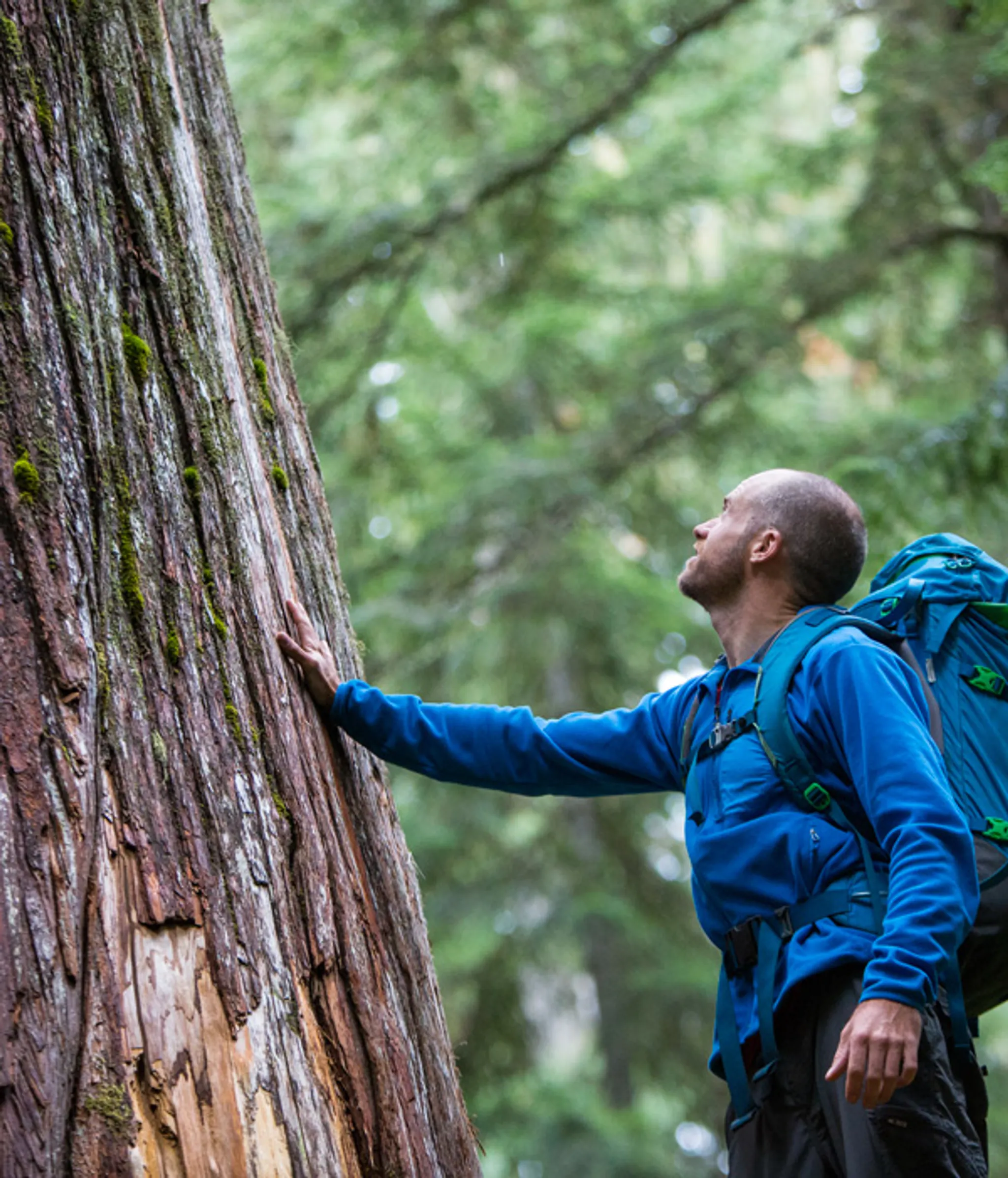City-stade, boulodrome, piscine, aire de jeux, terrain de beach volley