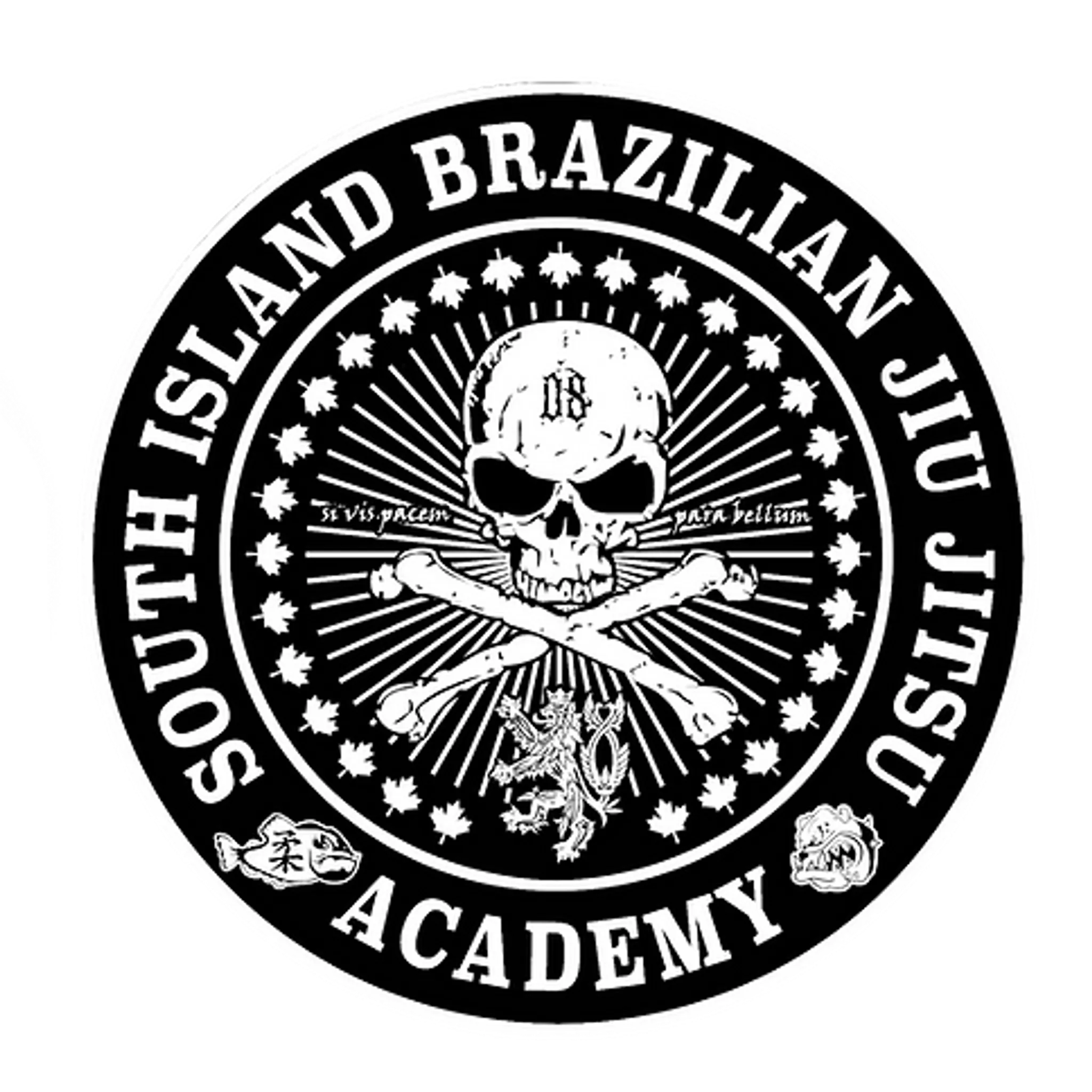 South Island Brazilian Jiu Jitsu Academy
