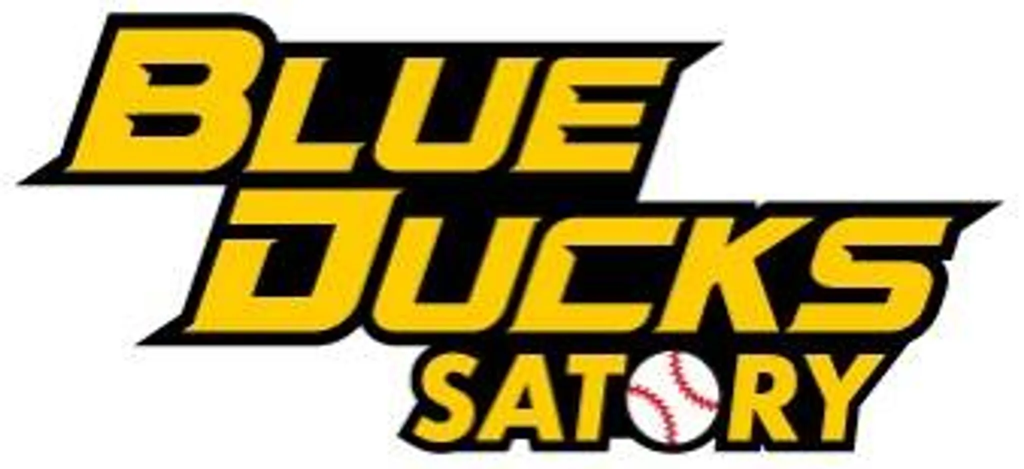 Satory Baseball - Blue Ducks