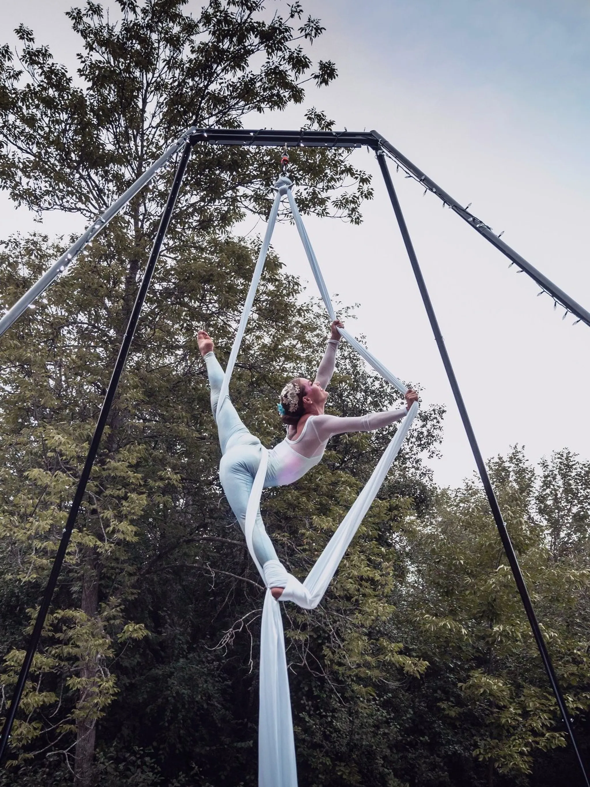 Intro to Hair Suspension: A Holistic Course