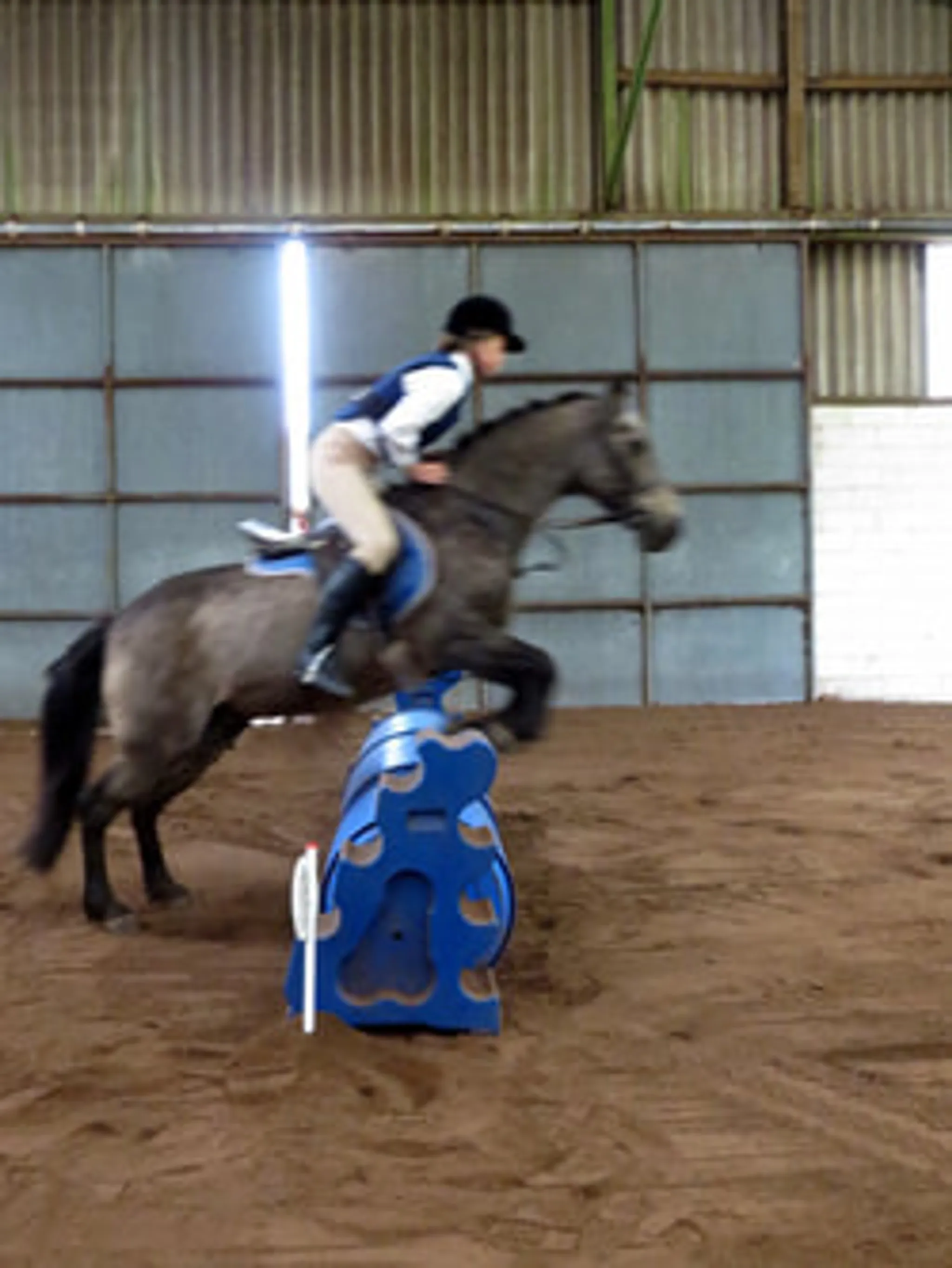 Devenish Pitt Farm & Riding School