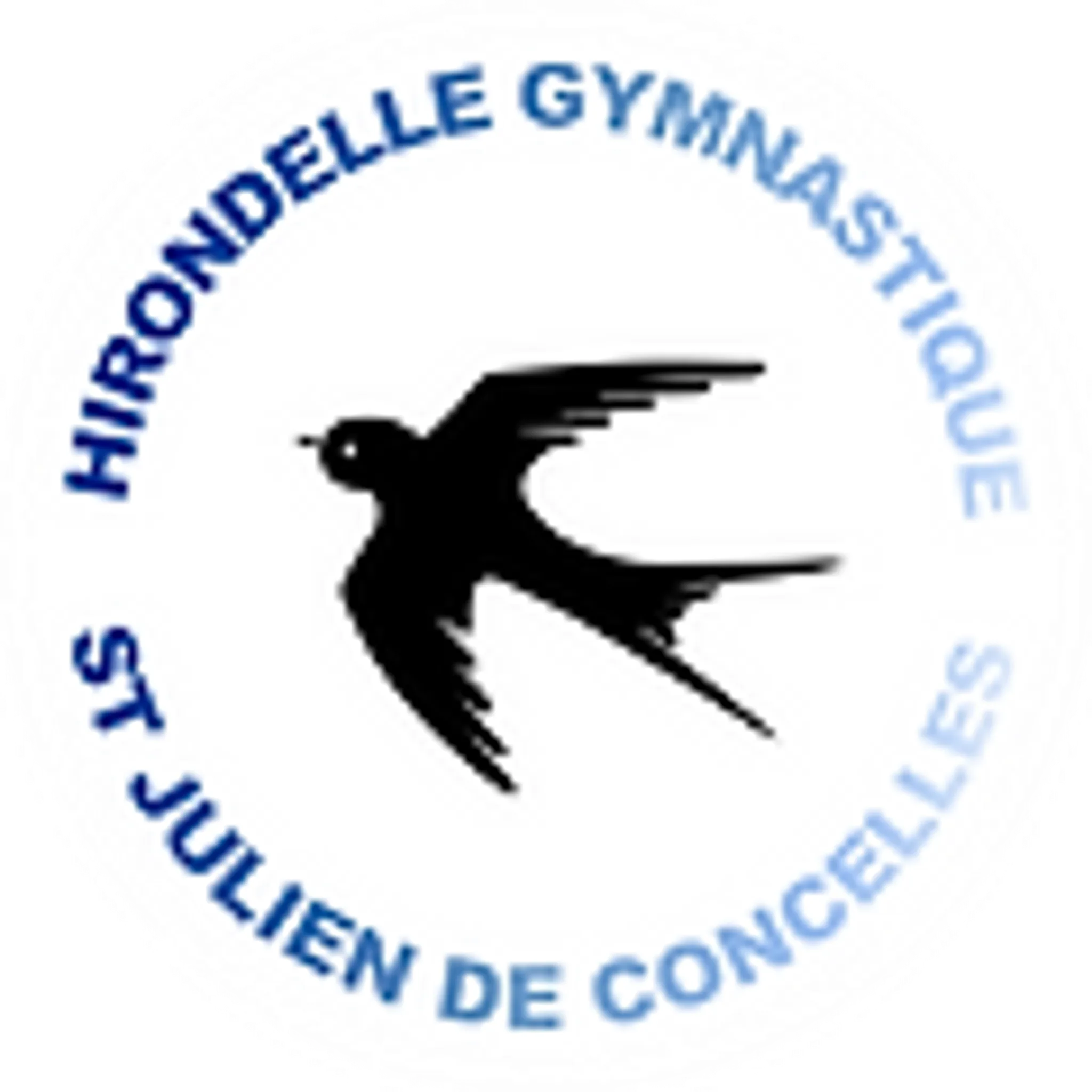Hirondelle Gymnastique