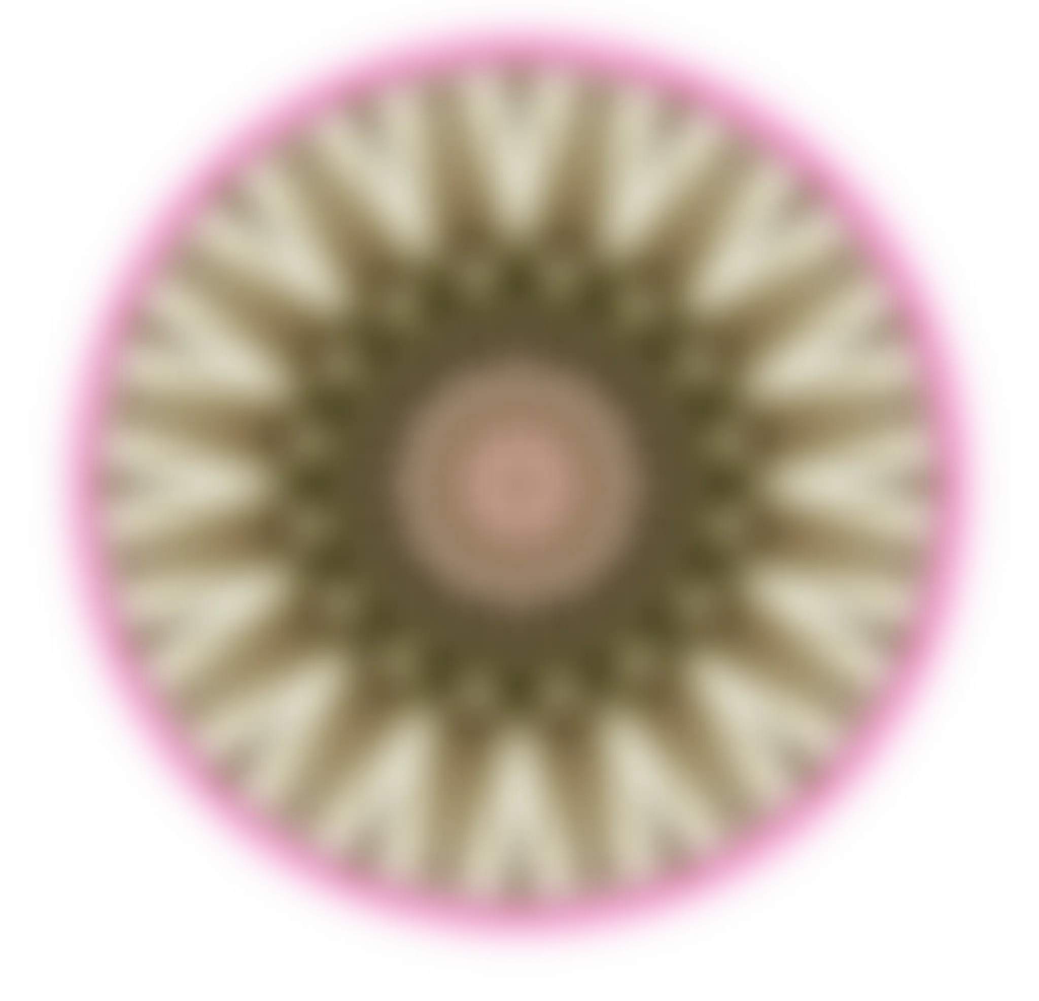 Julie Blanger, Specialist Wellness And Trainer