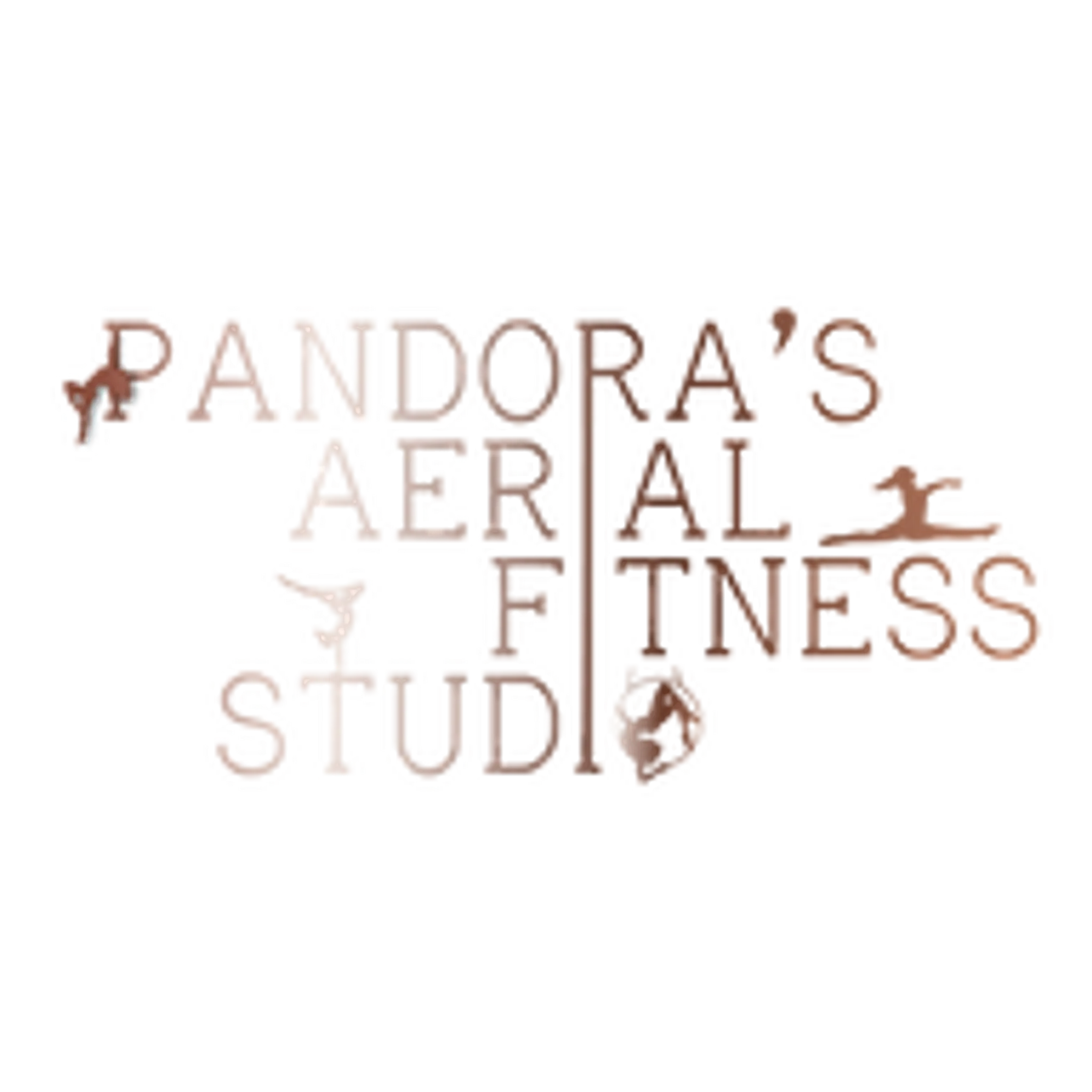 Pandora's Aerial Fitness Studio