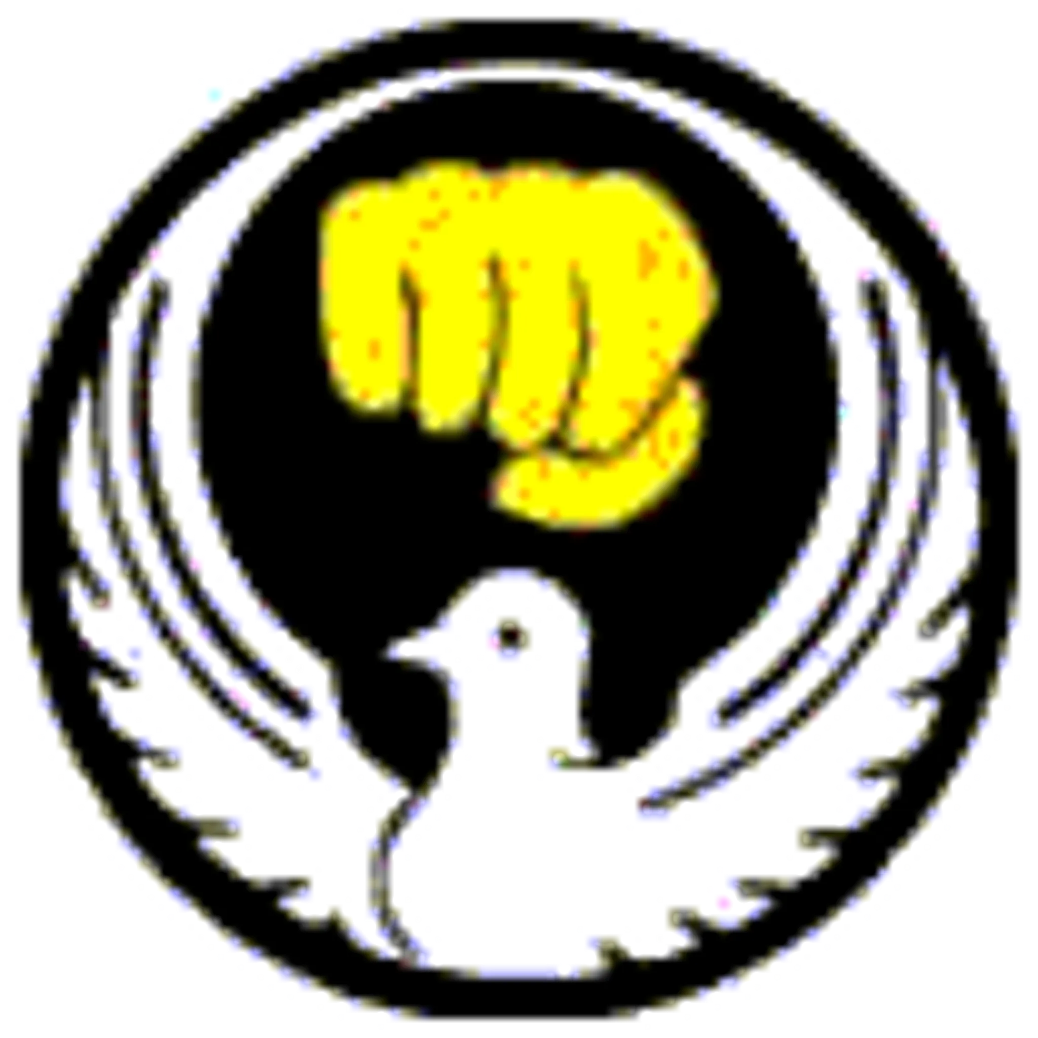 Glynneath Karate Club