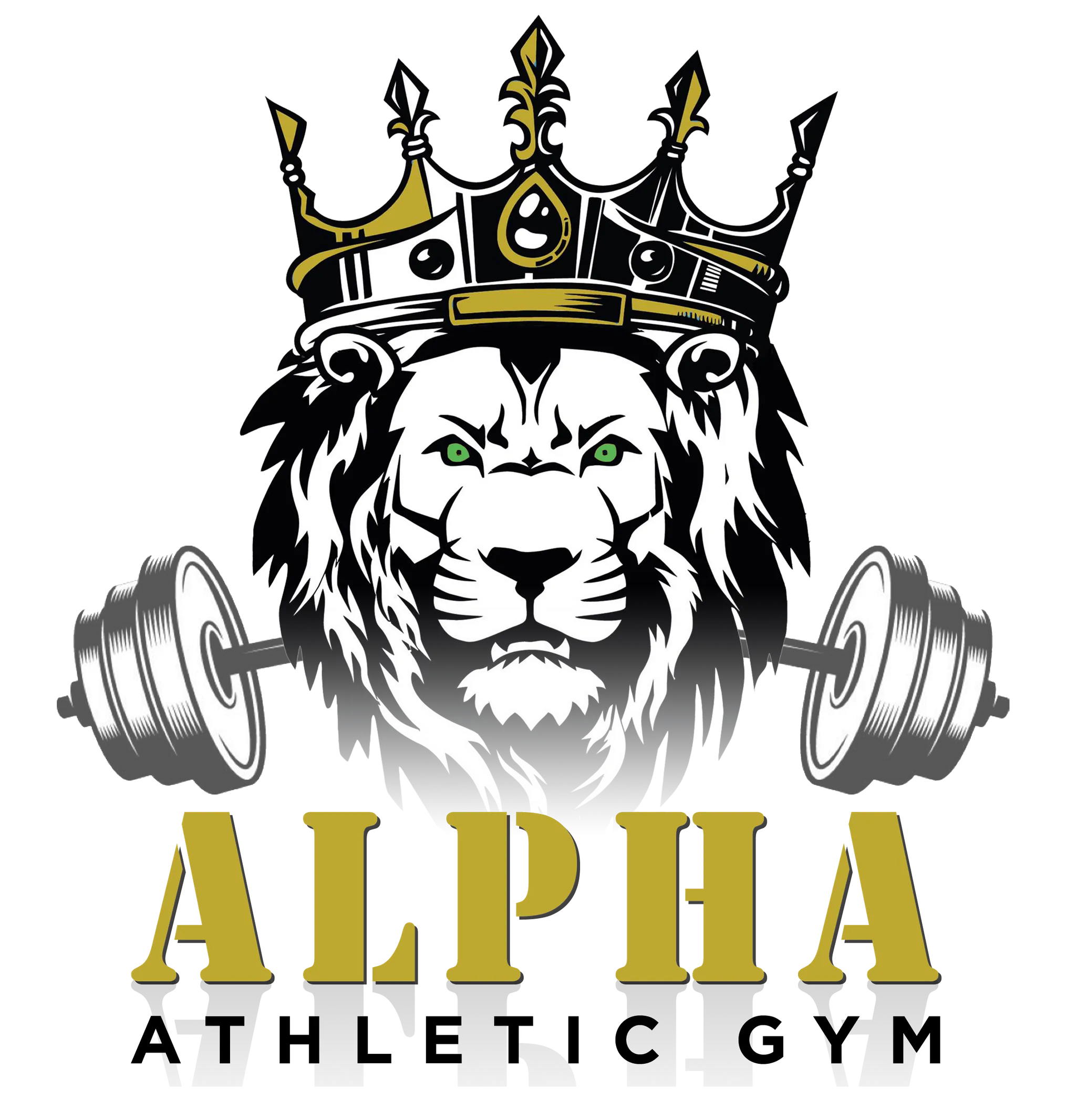 Alpha Athletic Gym