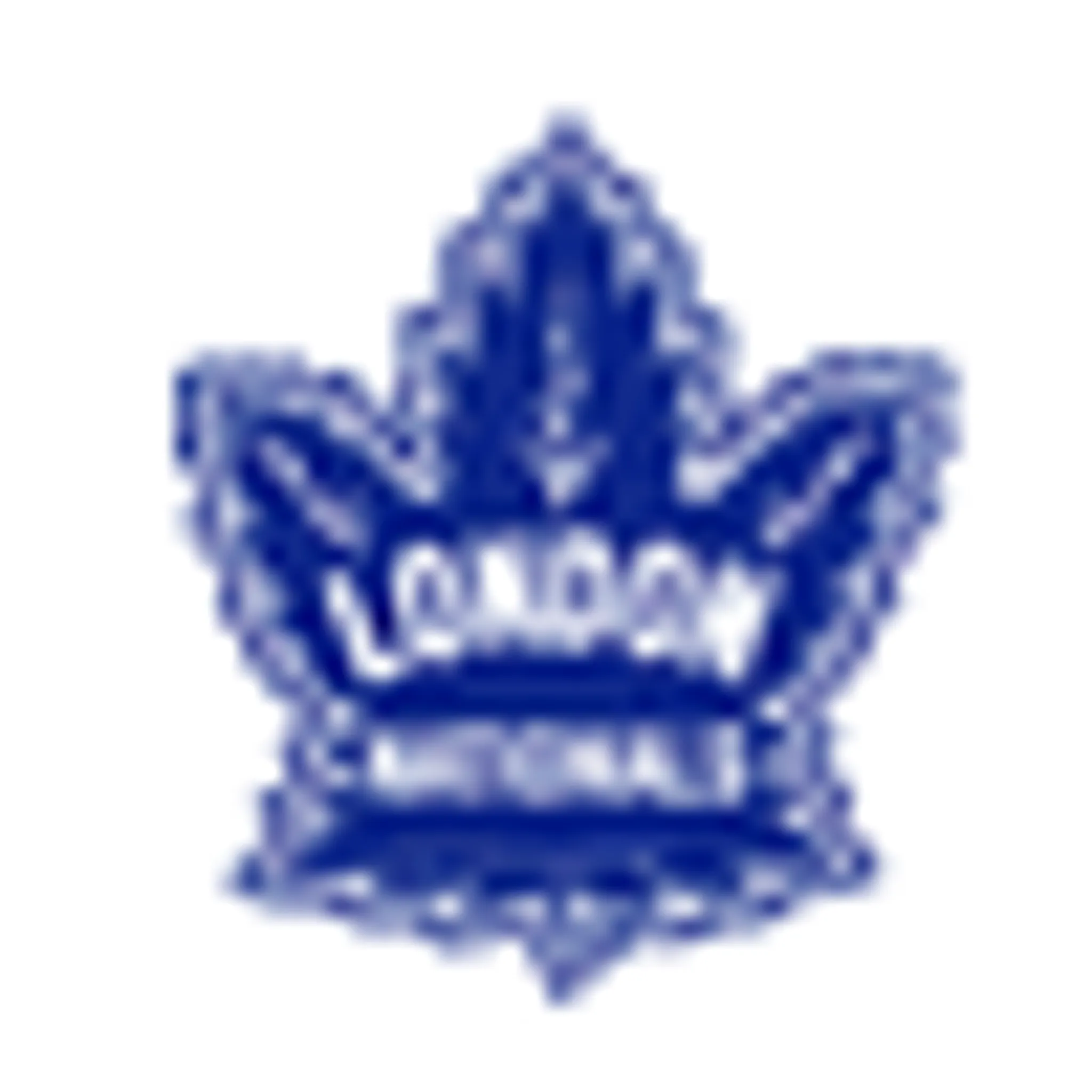 Welland Canadians Jr. B.