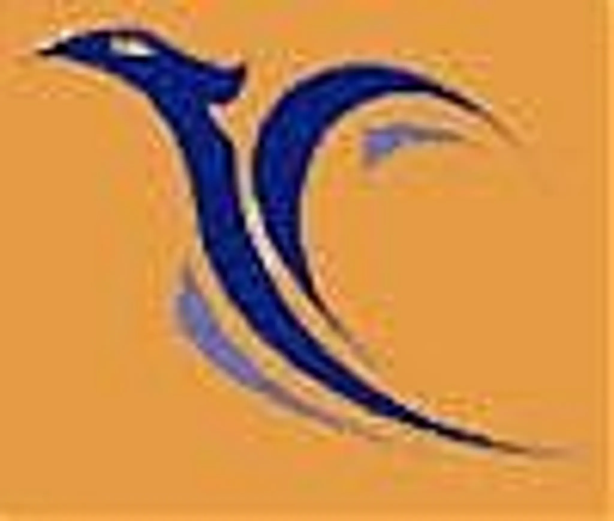 North Sunshine Tennis Club