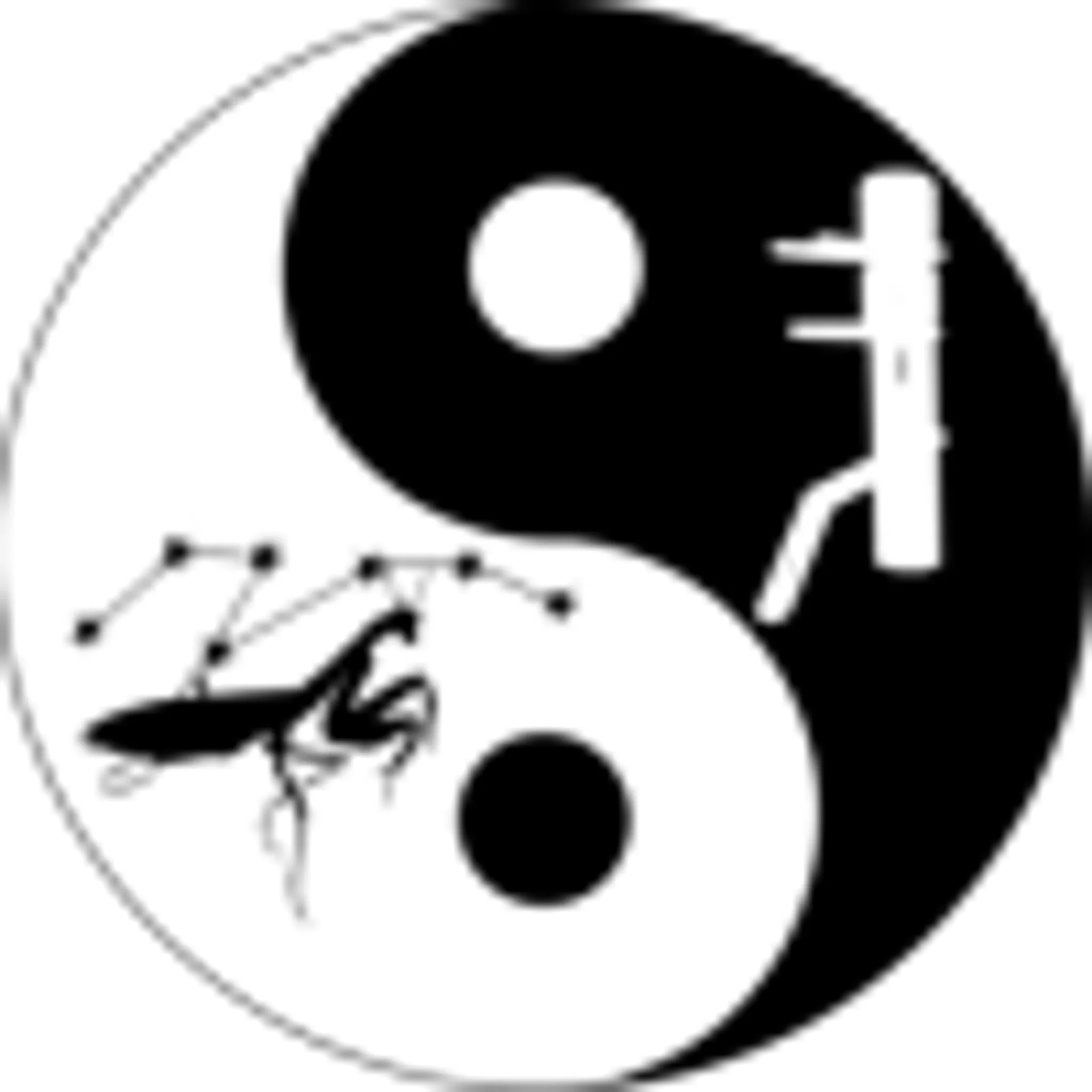 Traditional Kungfu Cannock