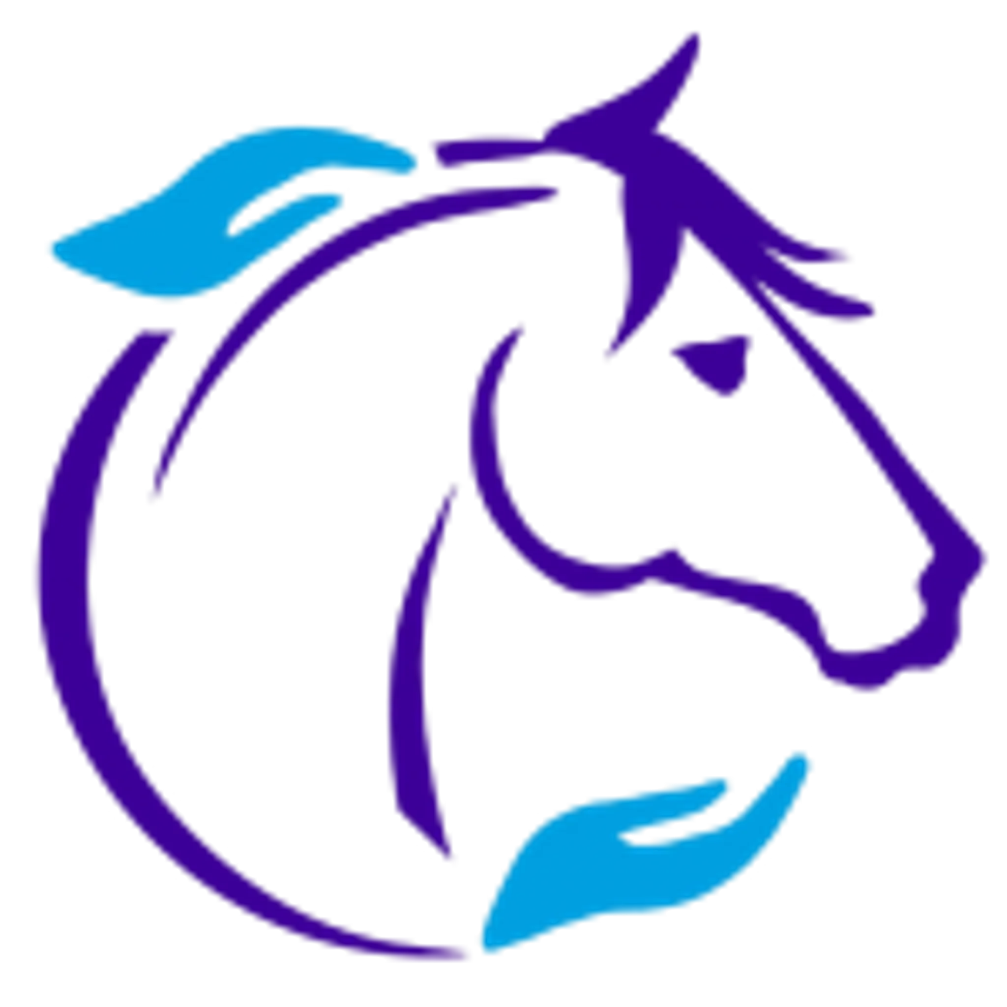 Equine Miracle