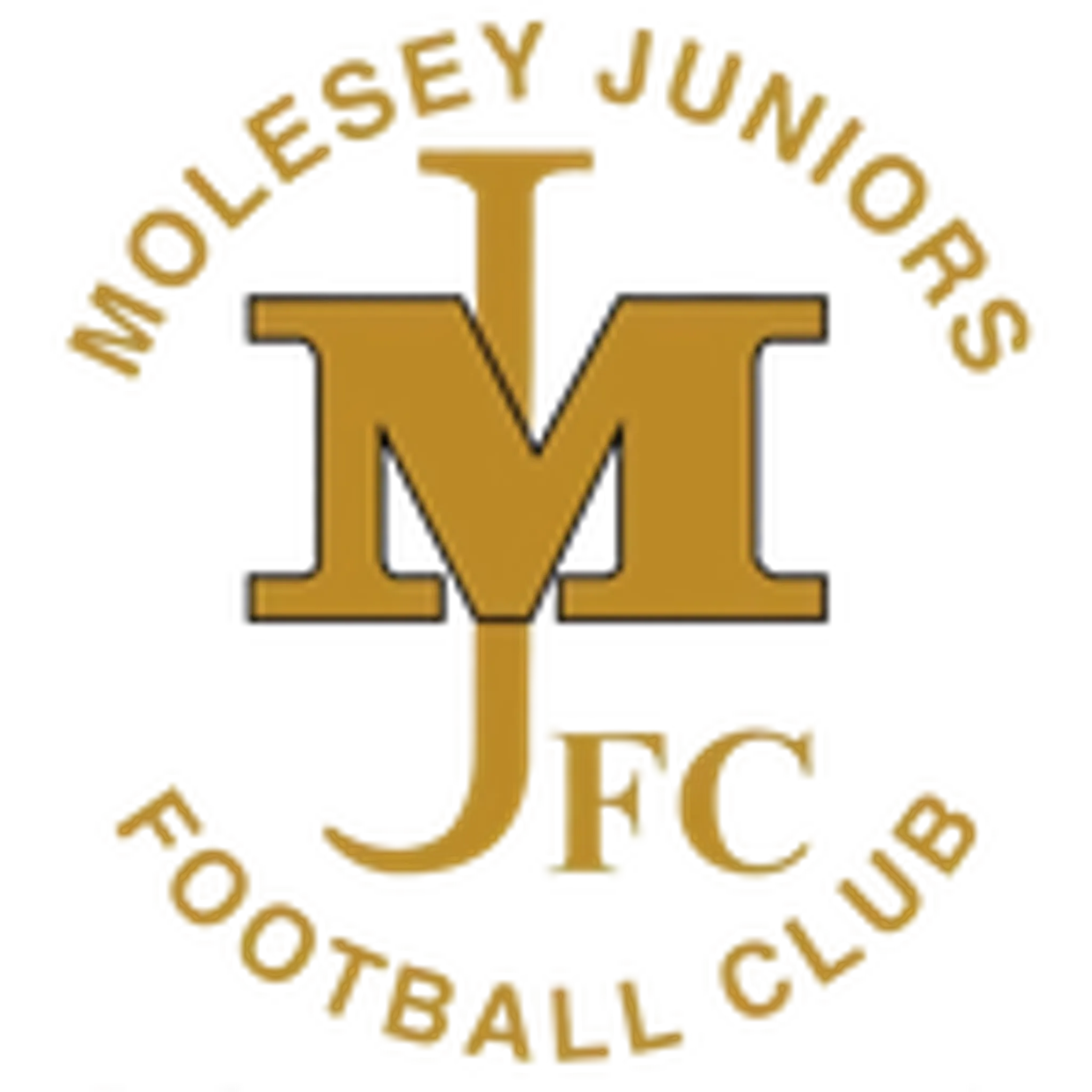 Molesey Juniors F.C