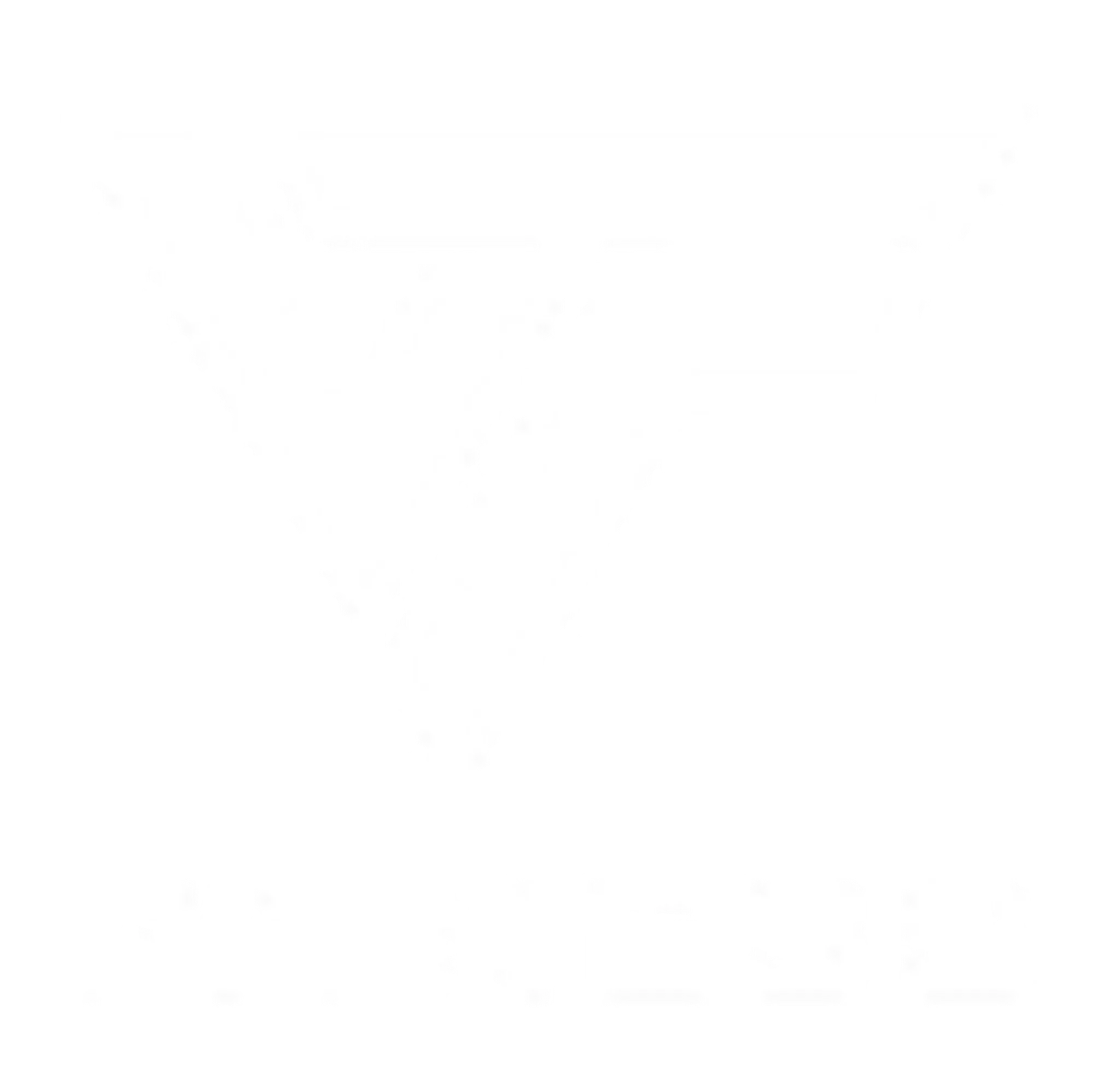VF Fitness