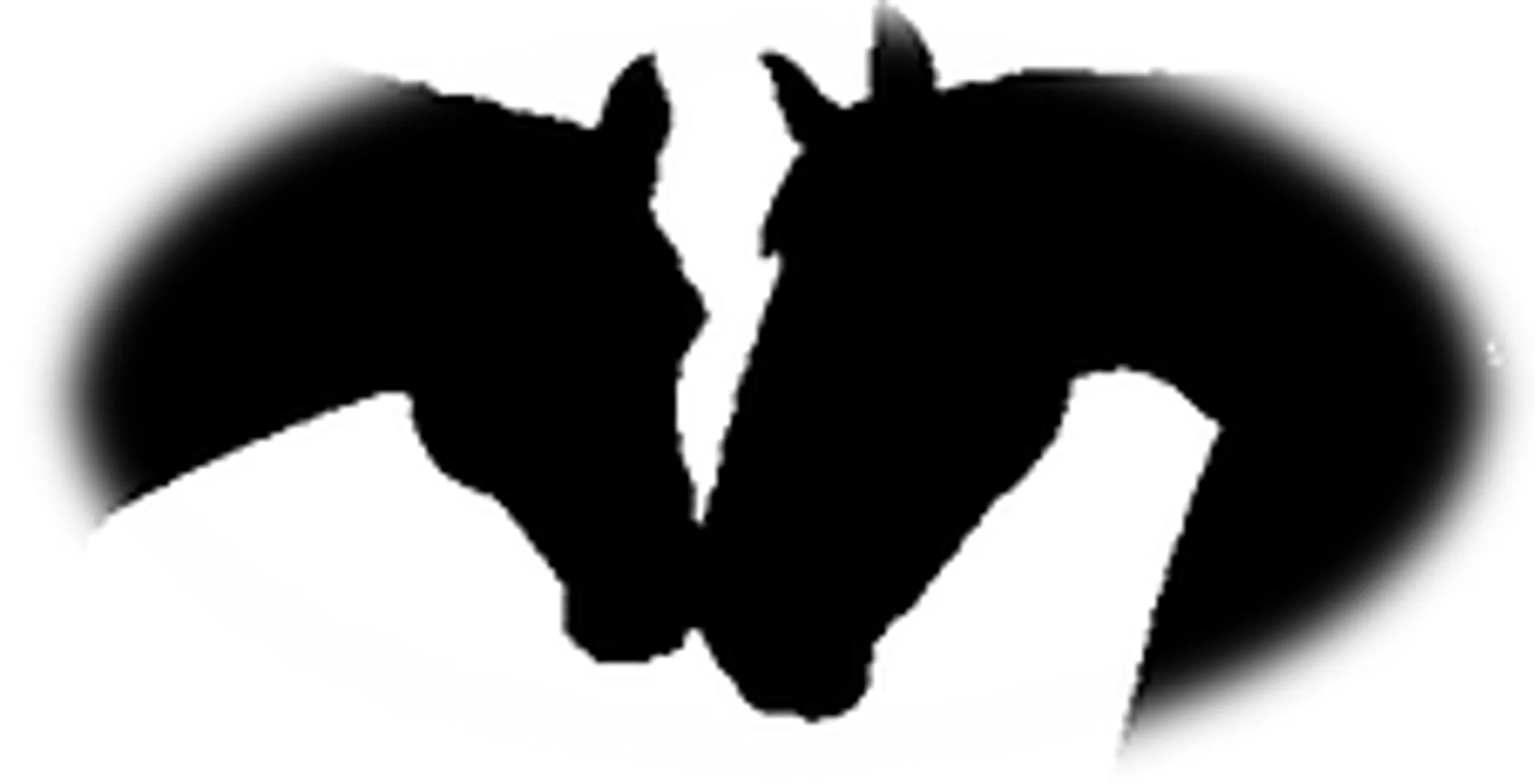 Burton Grange Equestrian