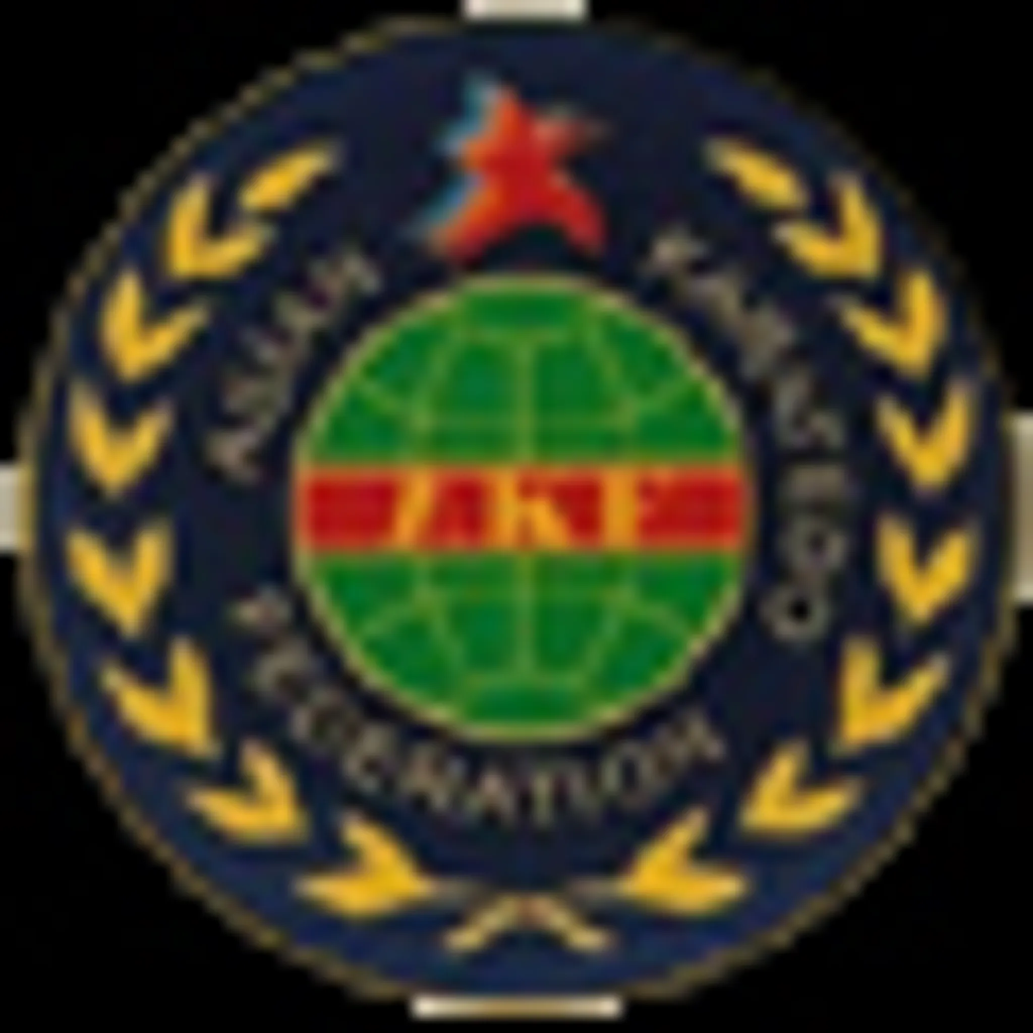 Okinawa Karate School