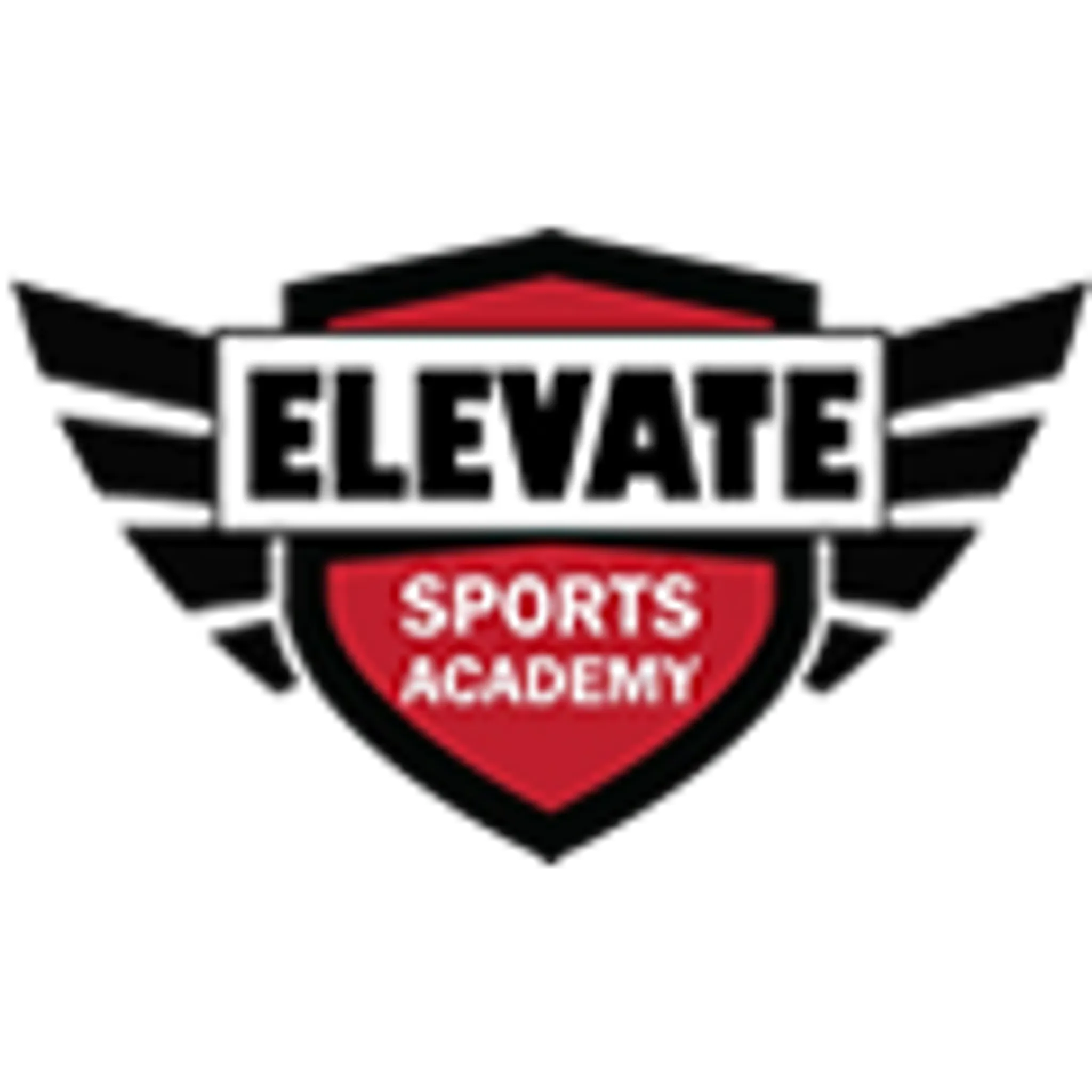 Elevate sports academy cricket coaching in borivali