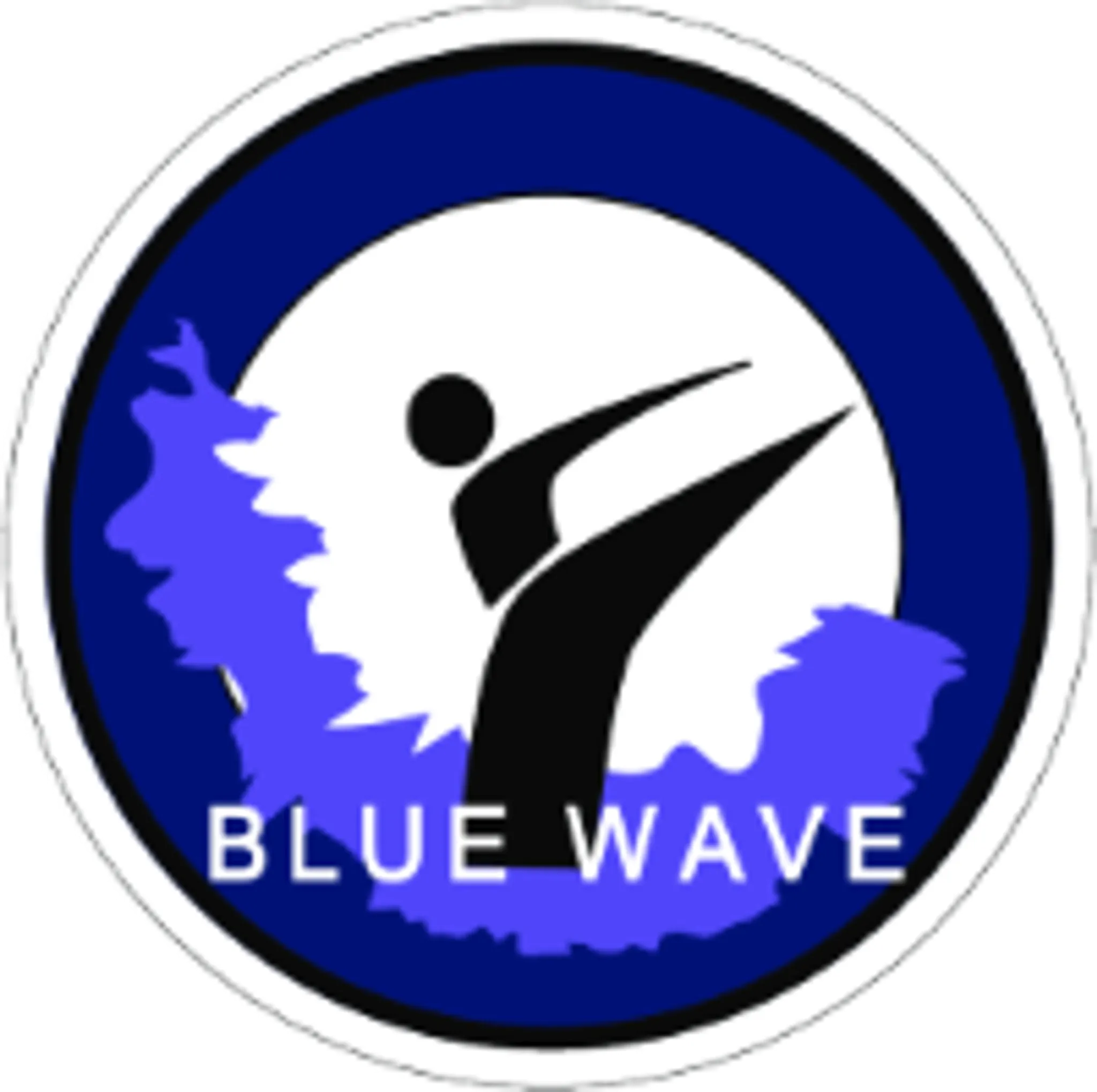 Blue Wave Taekwondo Self defence