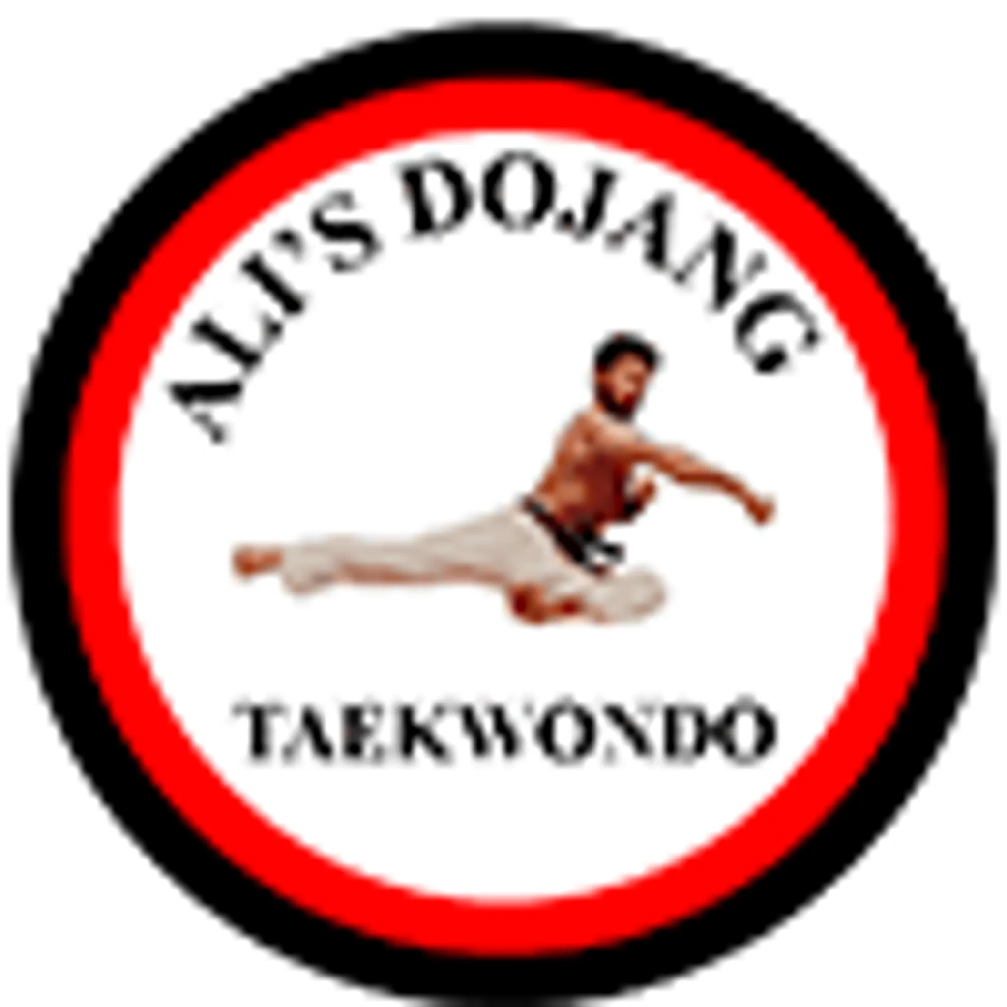 Alis Dojang London Taekwondo Club