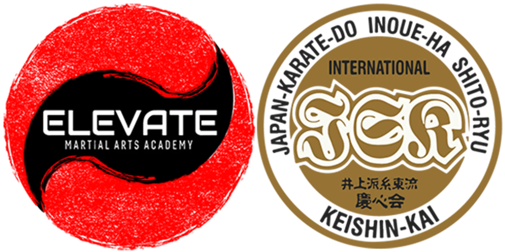 Elevate Martial Arts Academy