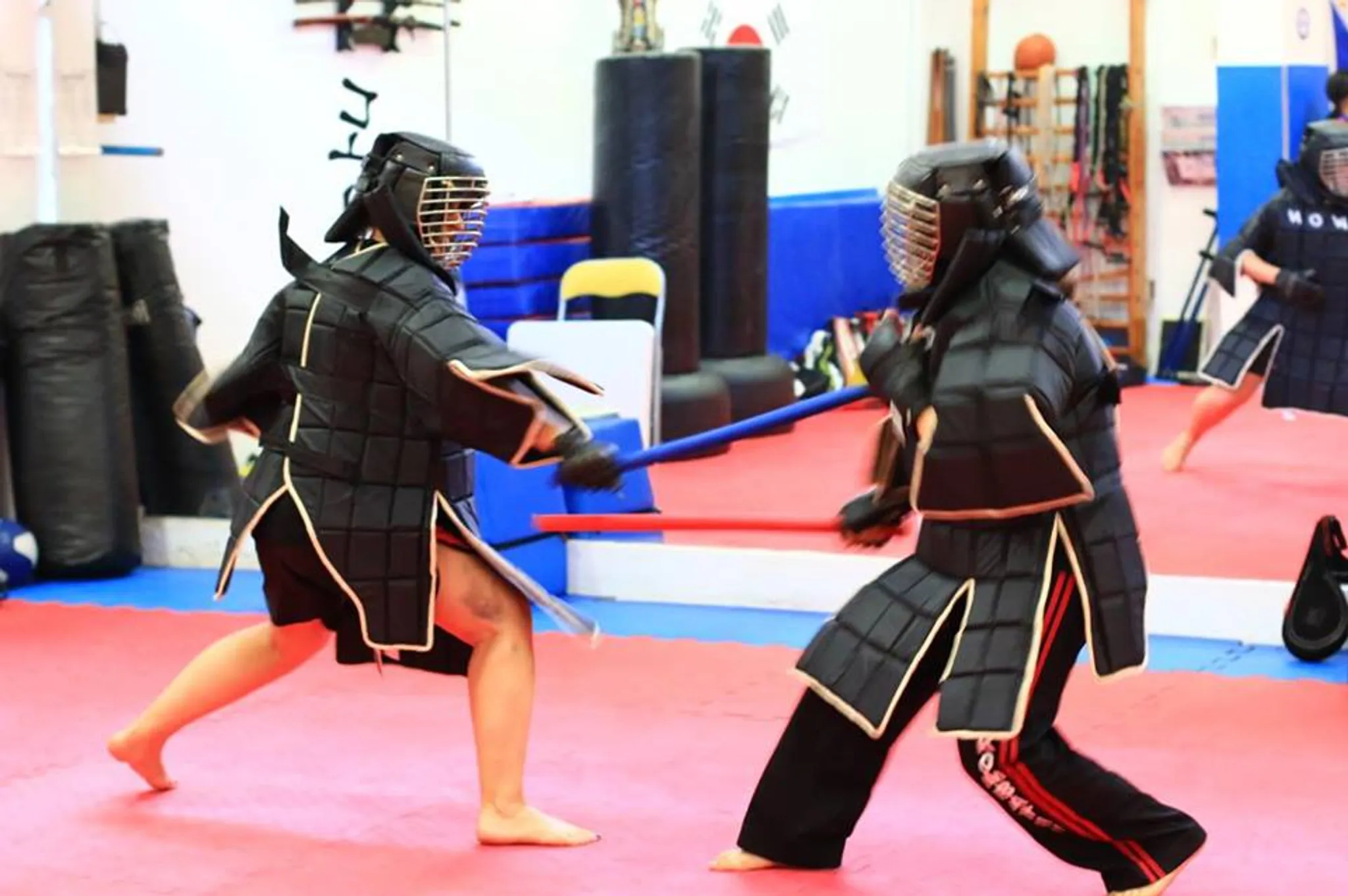 Multi Style Martial Arts