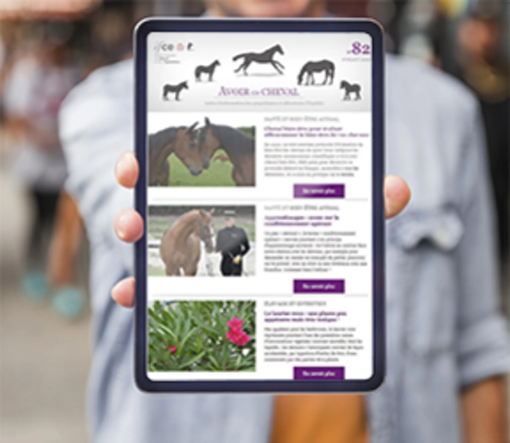 National Stud Du Pin