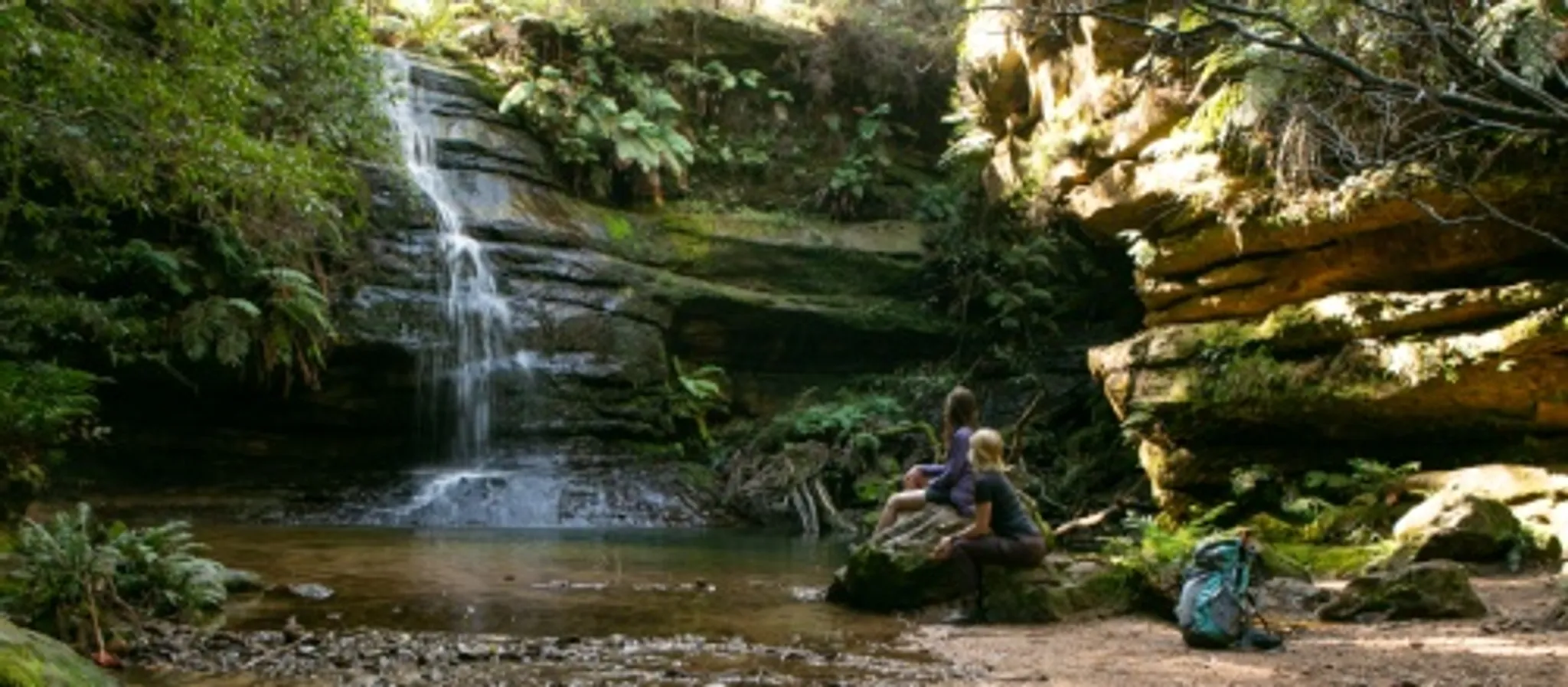 Blue Mountains Walking Trips