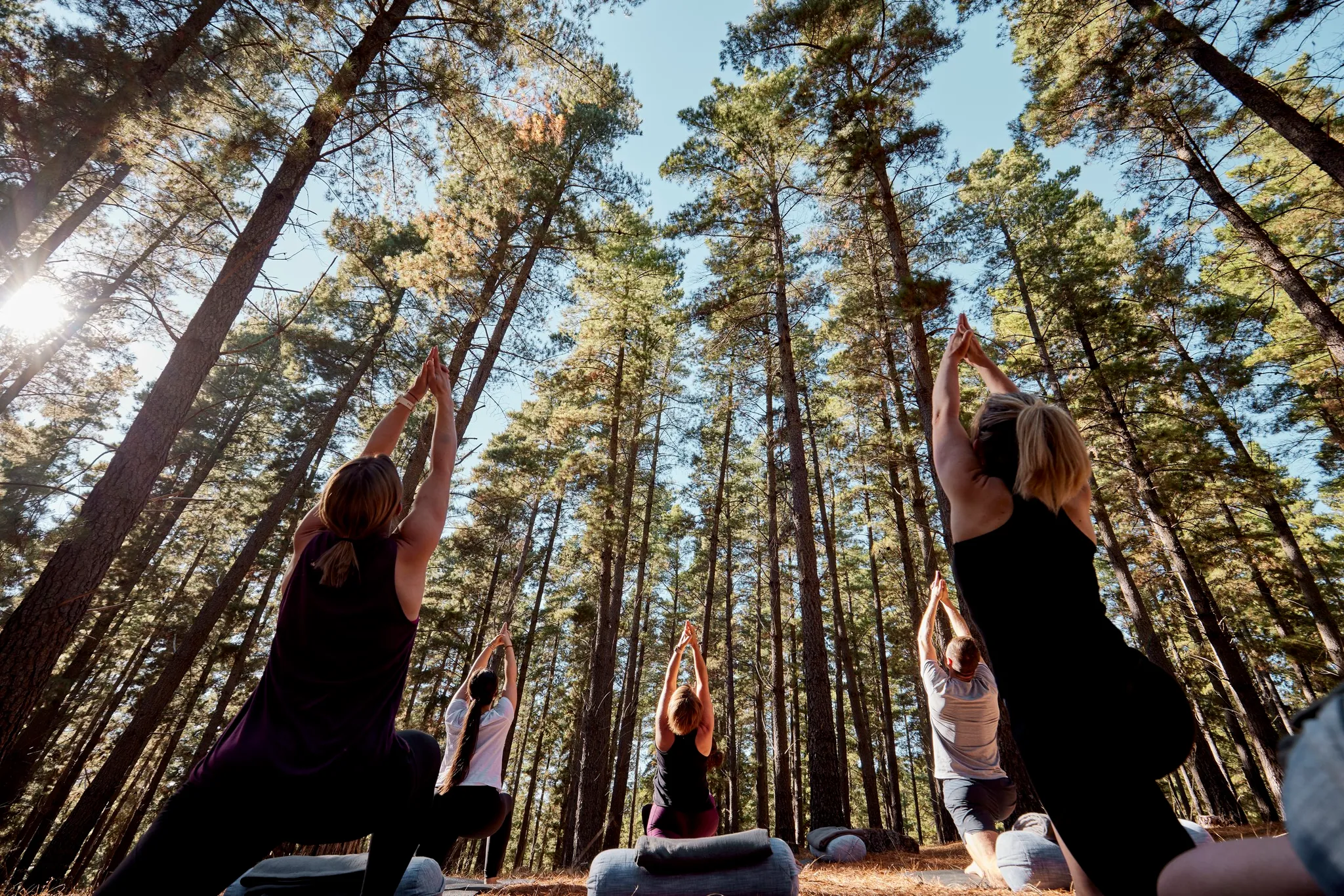 Serene Wellness Retreat @ Seppeltsfield Estate