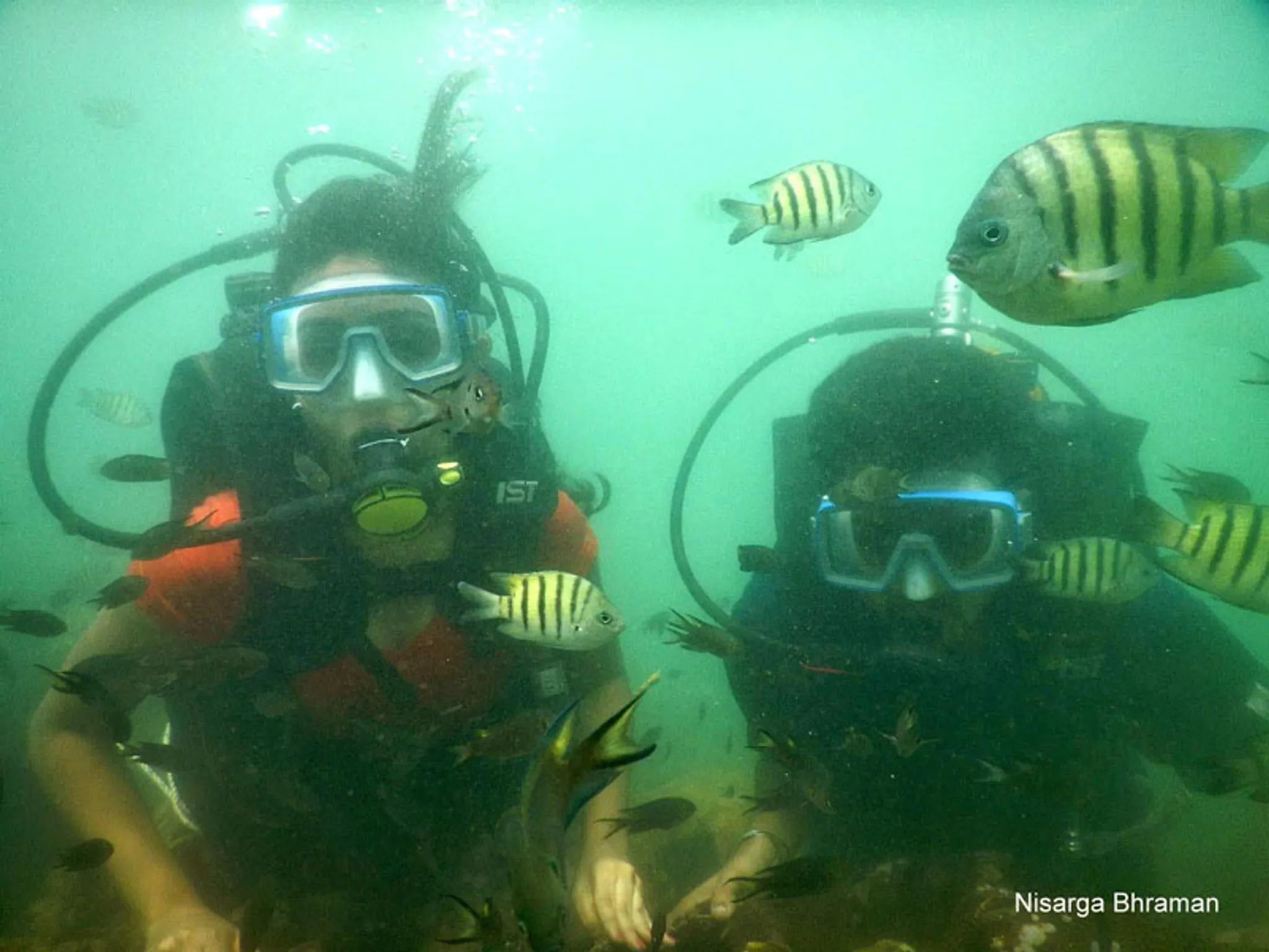 Scuba Diving in Malvan - Morya Water sports