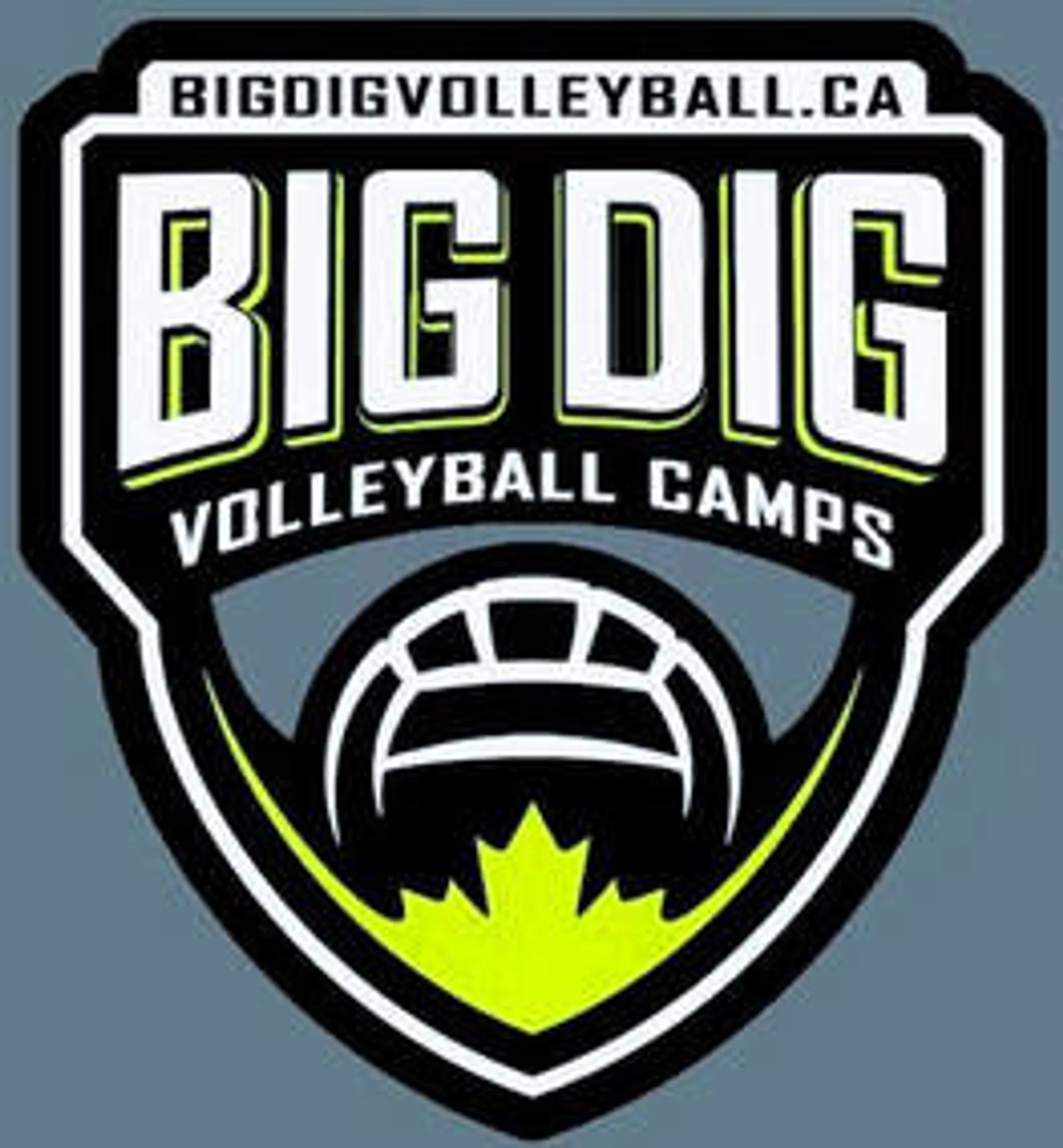 Big Dig Volleyball