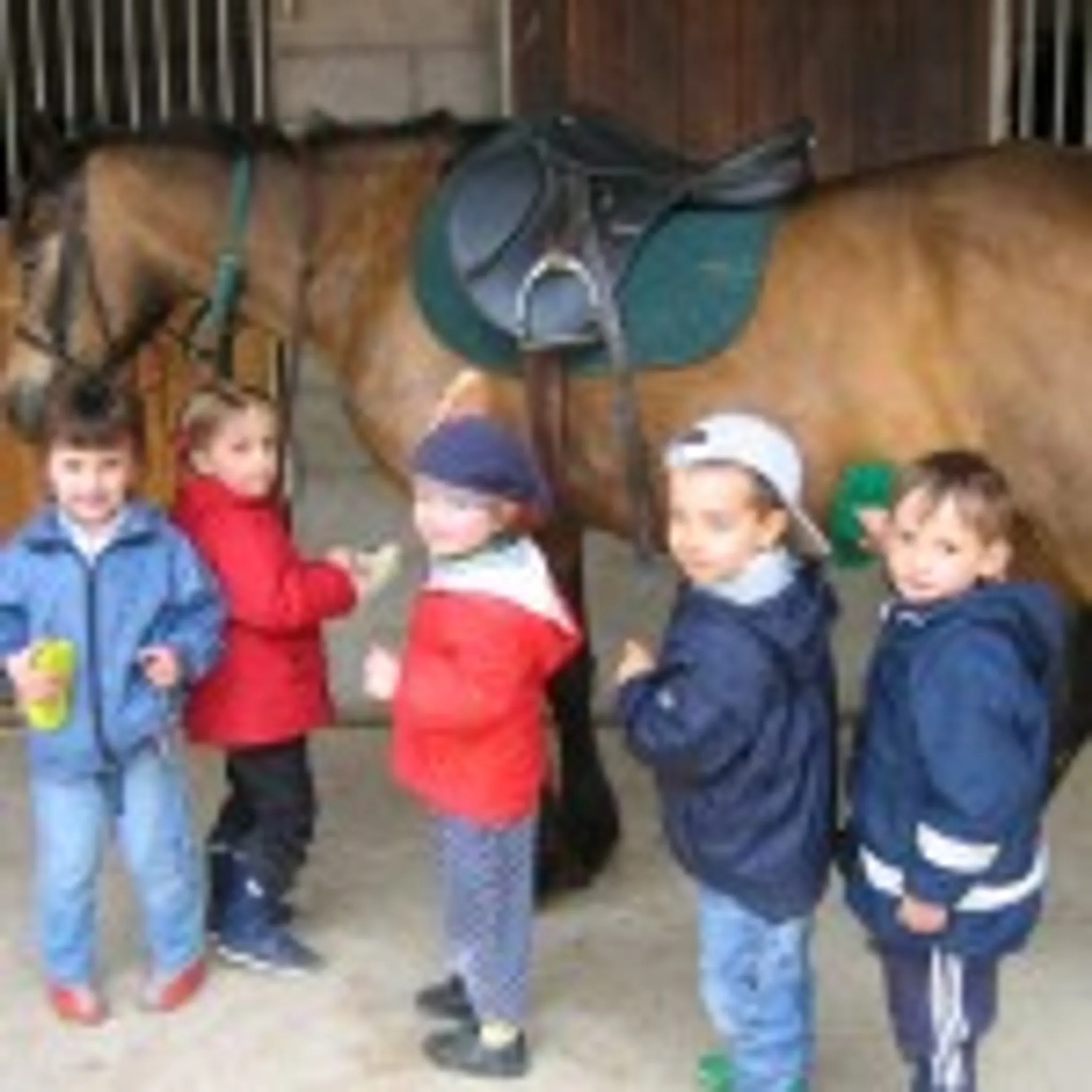 Loire Nature Découverte