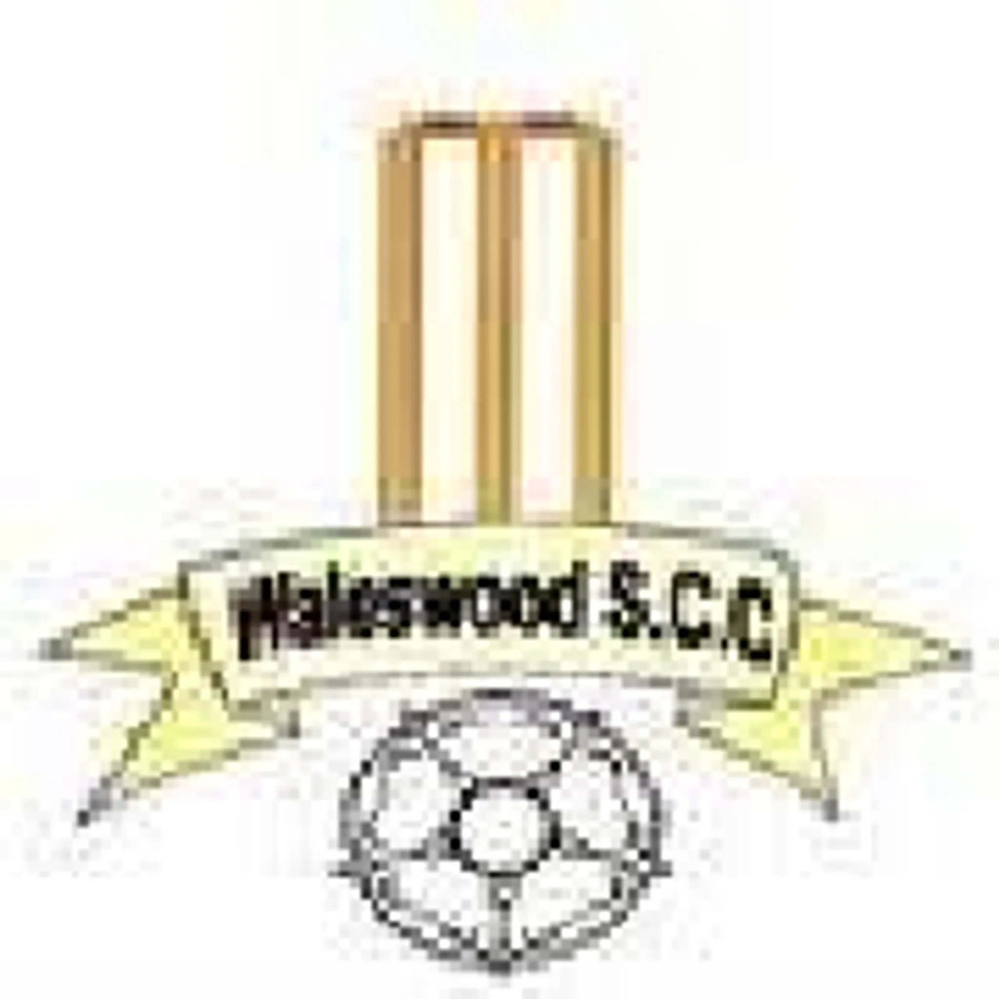 Waleswood Sports Cricket Club