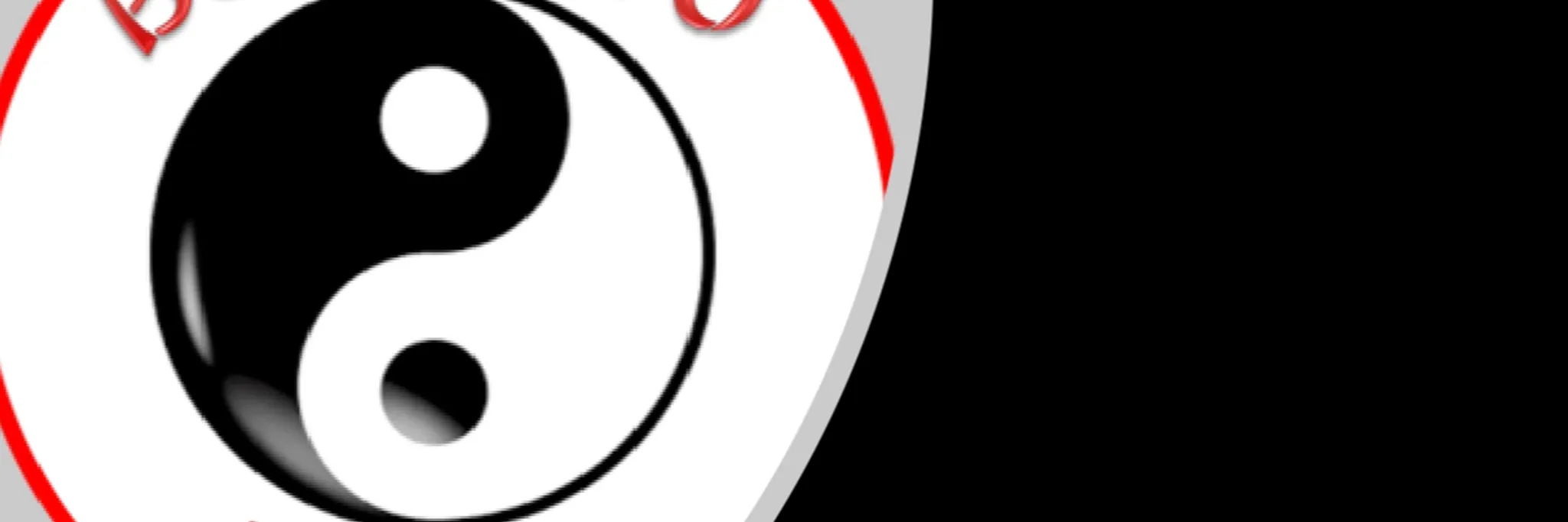 Budo Ryu Karate Academy St Marys 