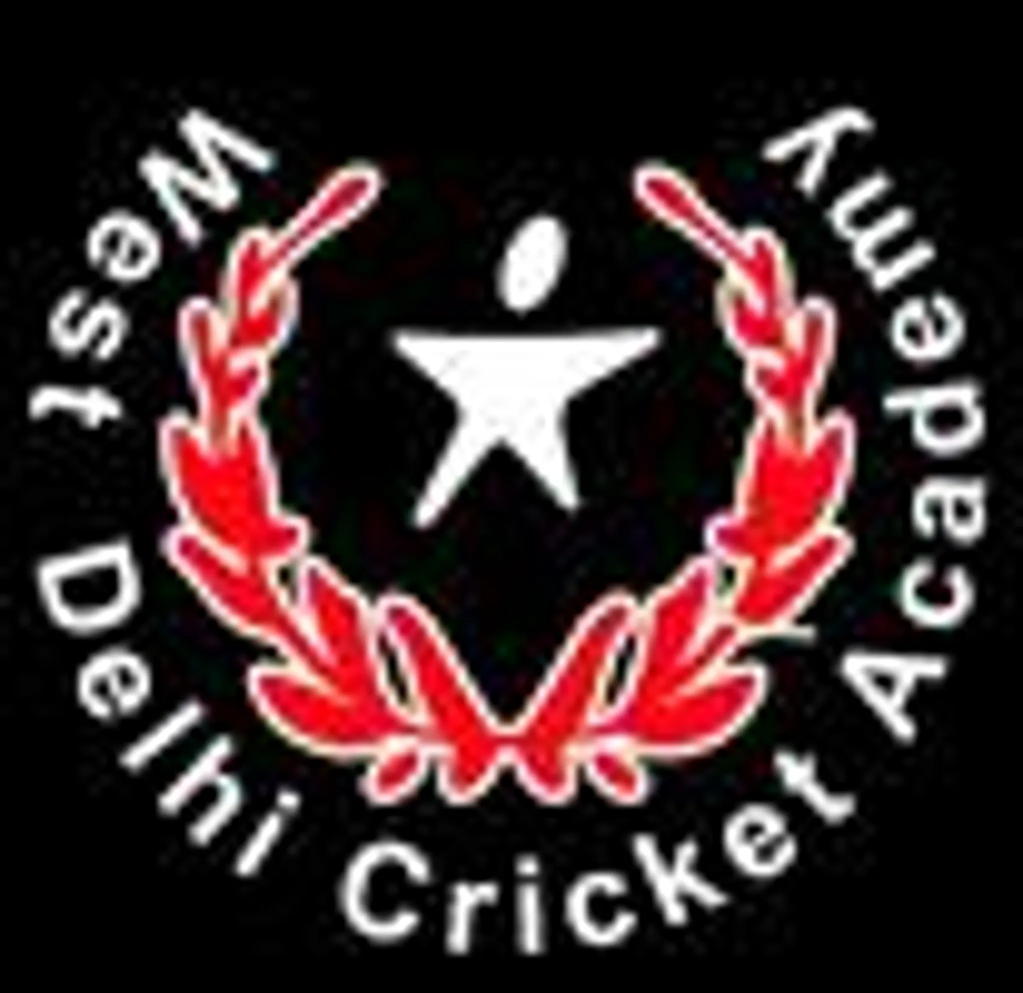 West Delhi Cricket Academy