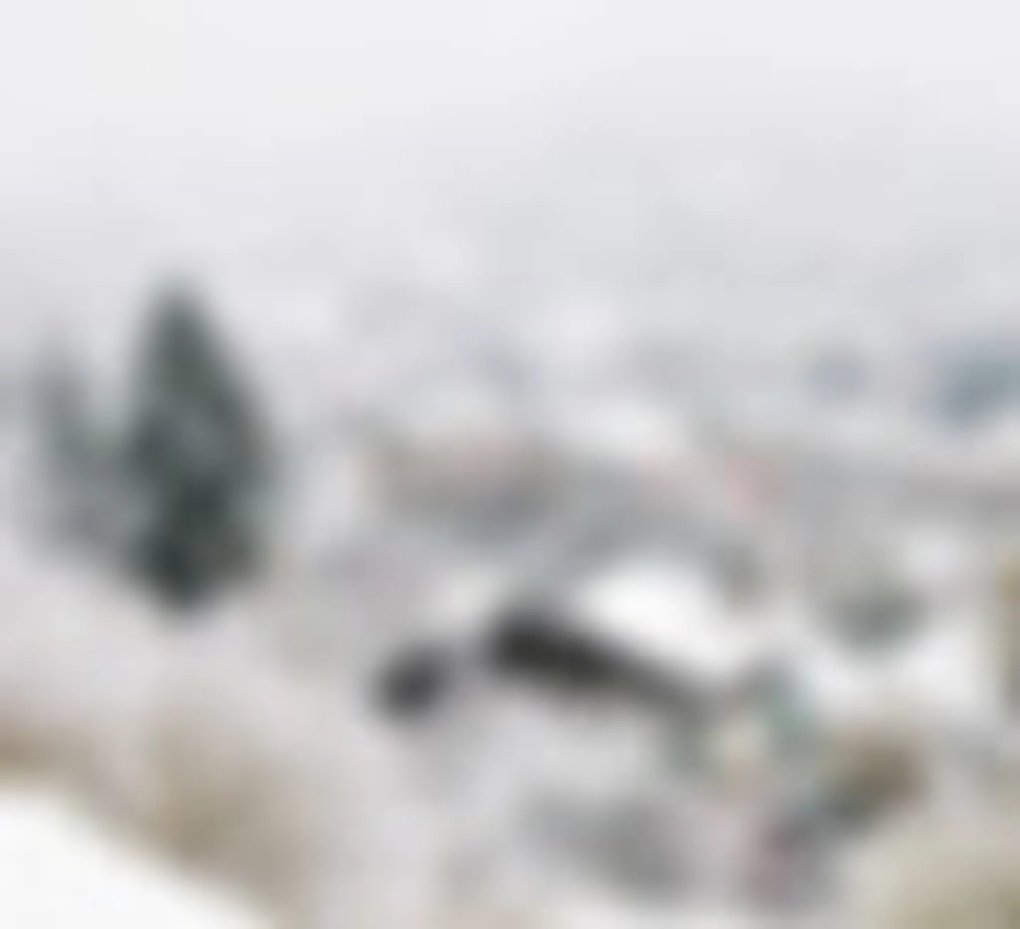 Le Chalet Vert: Holiday À La Montagne Pistes Ski La Bresse Proche Gérardmer Vosges