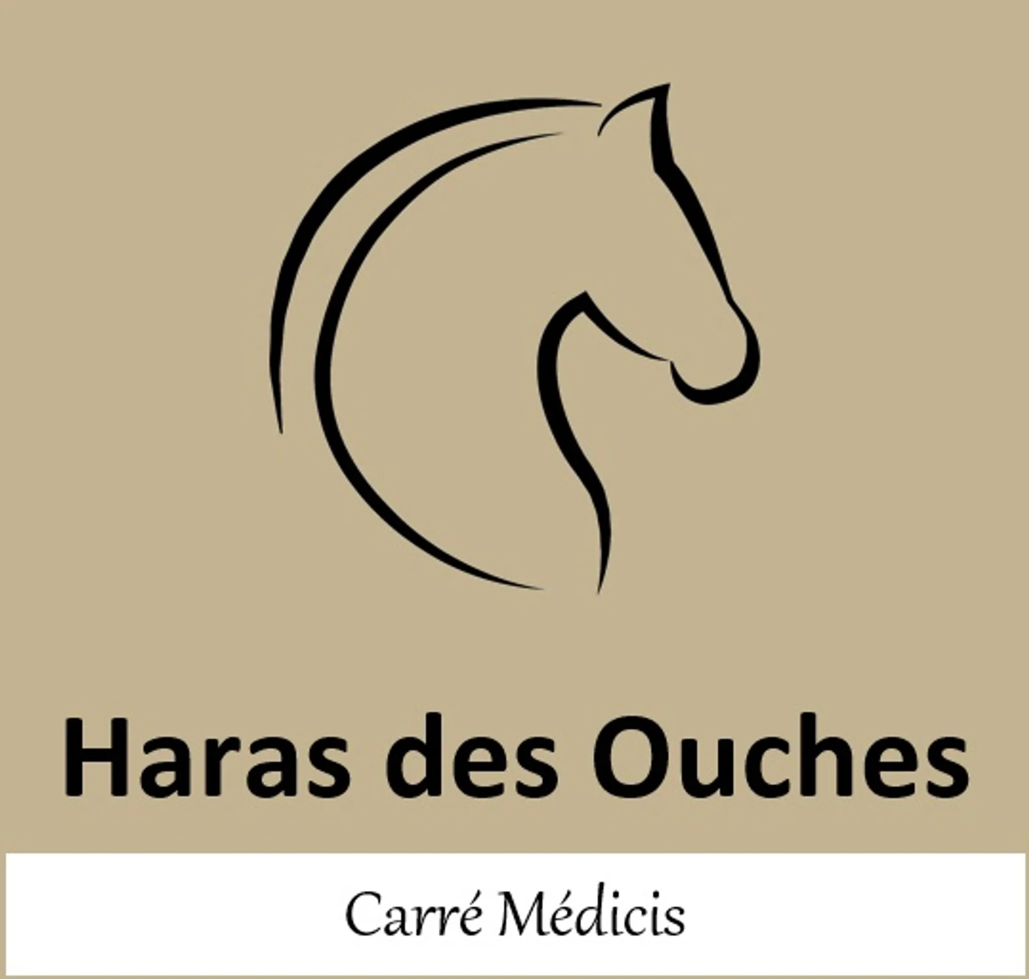 Le Haras Des Ouches, Equestrian Center Carré Médicis