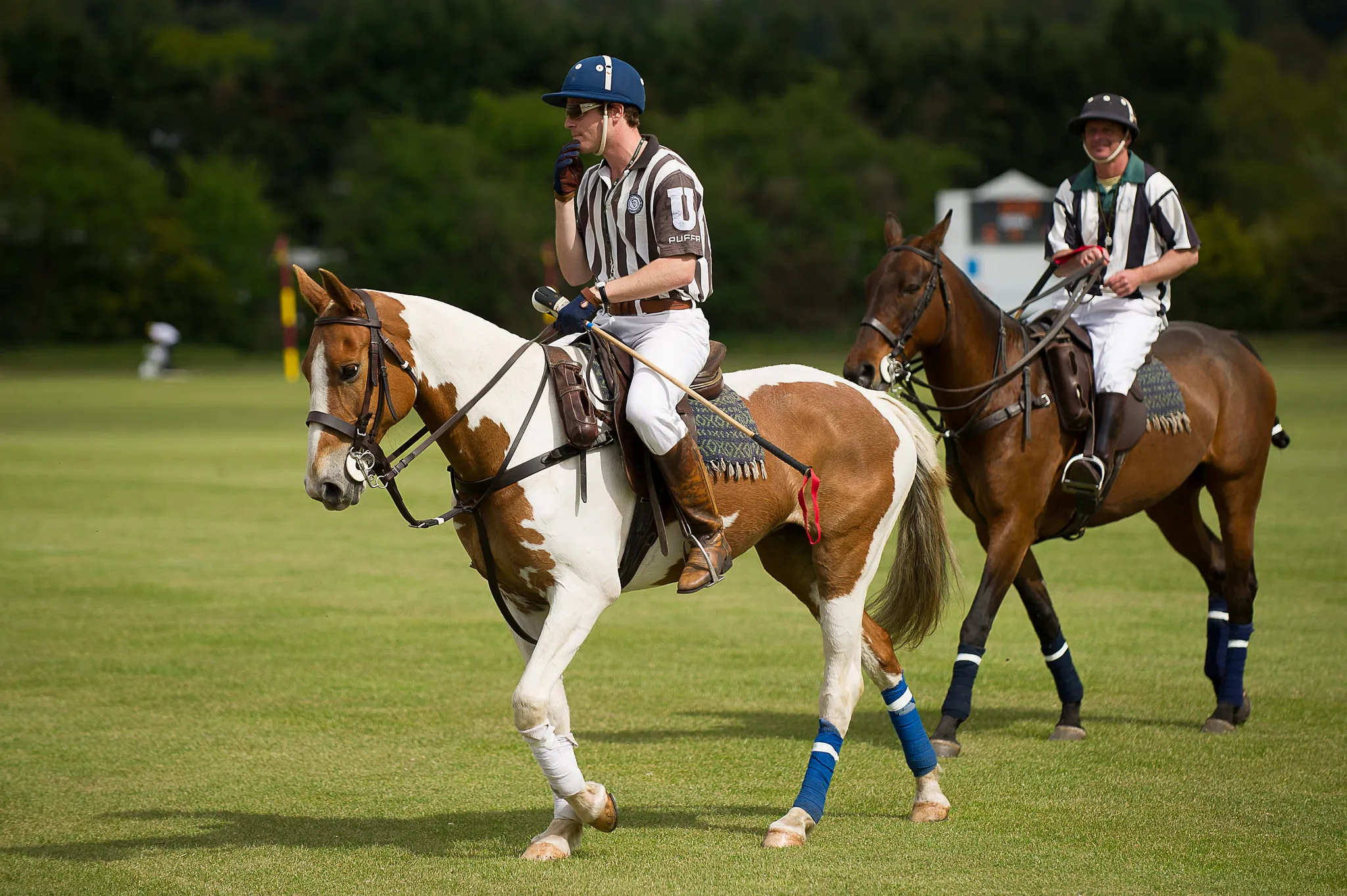 Ham Polo Club