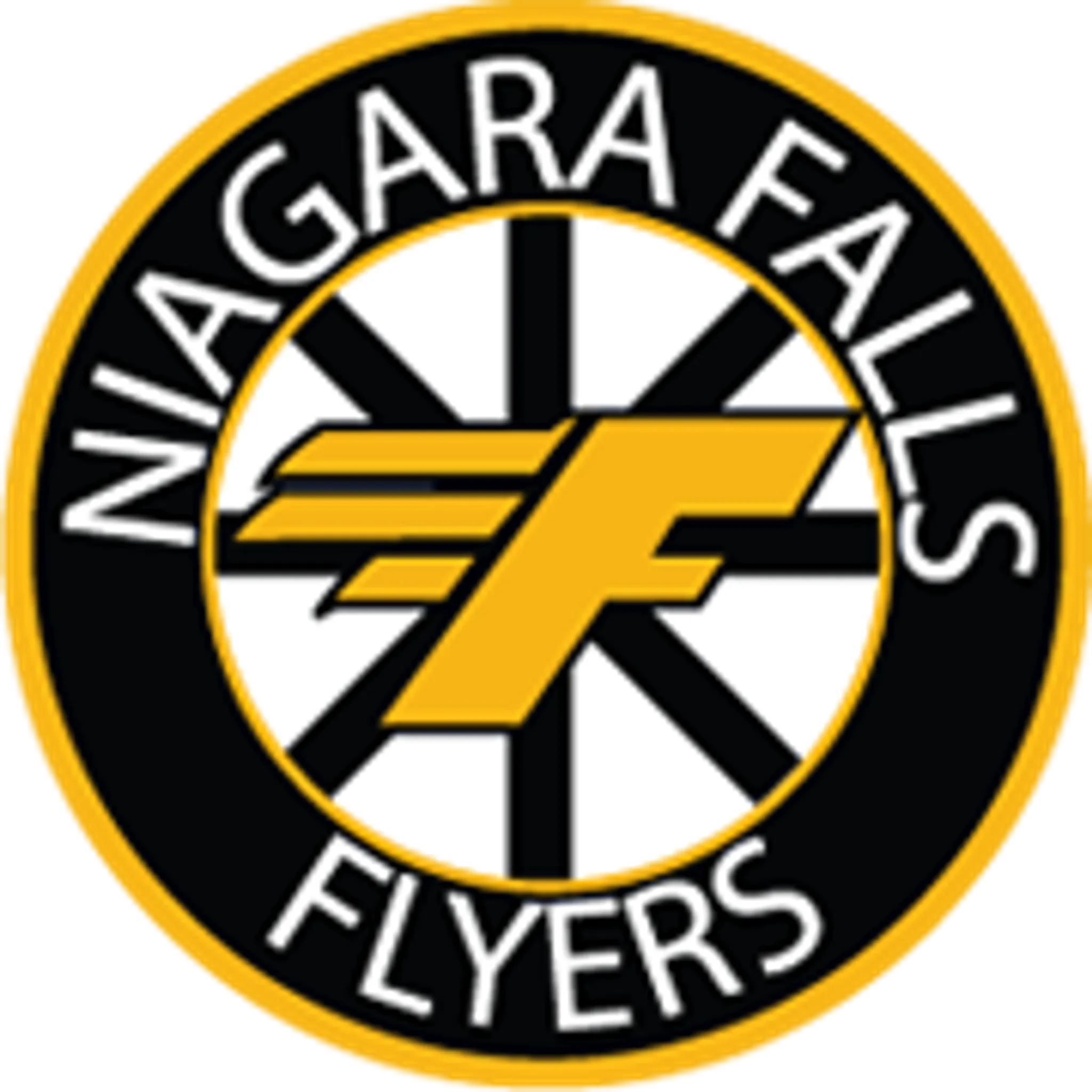 Niagara Falls Minor Hockey Association