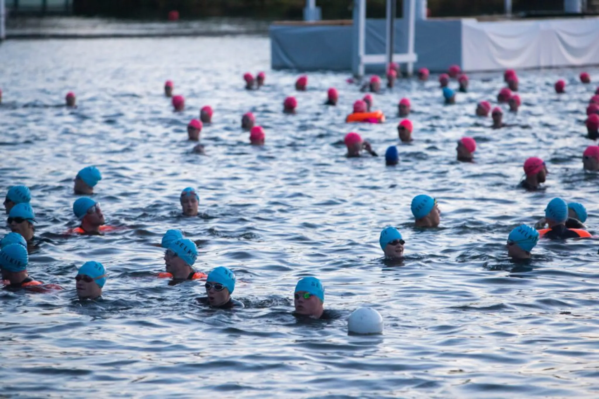 Selkie Henley Classic 2024