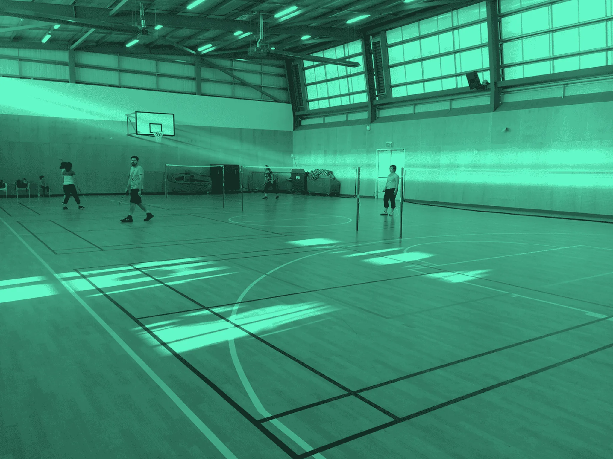 Lac Viet Badminton Group