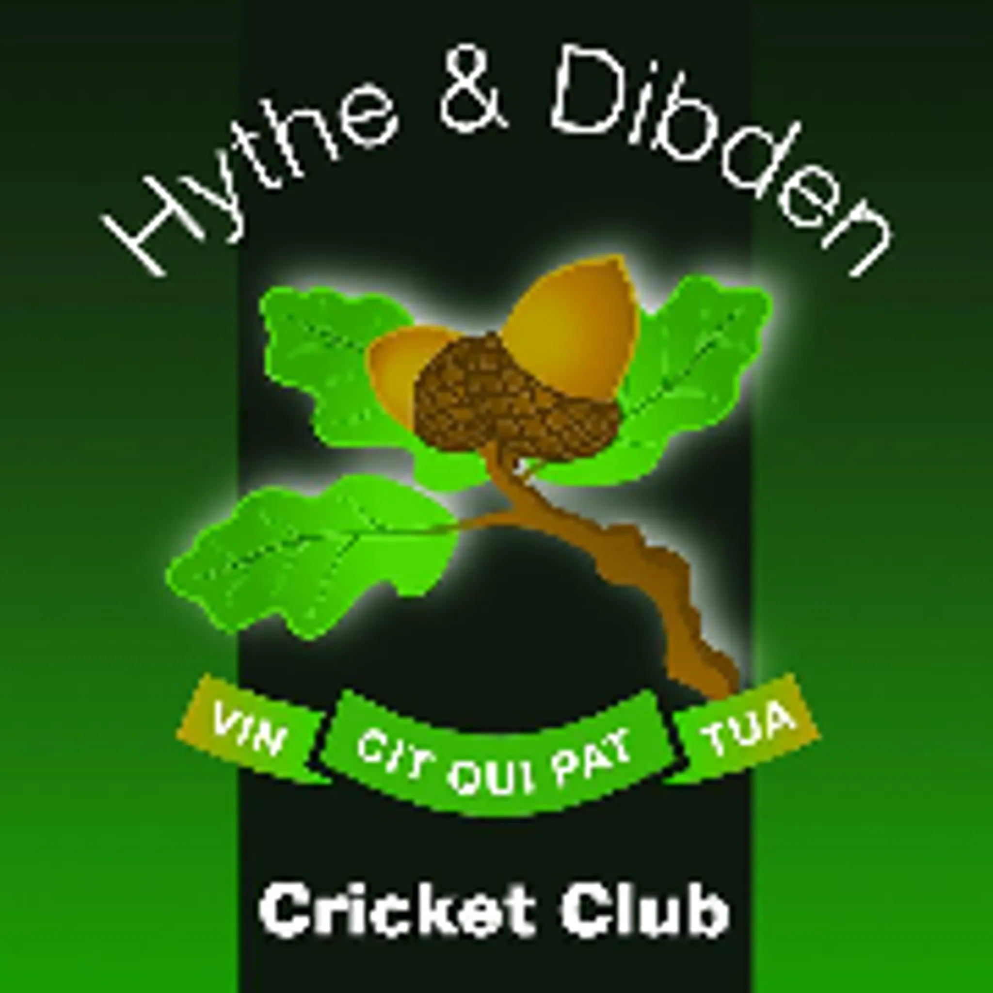 Tichborne Park Cricket Club