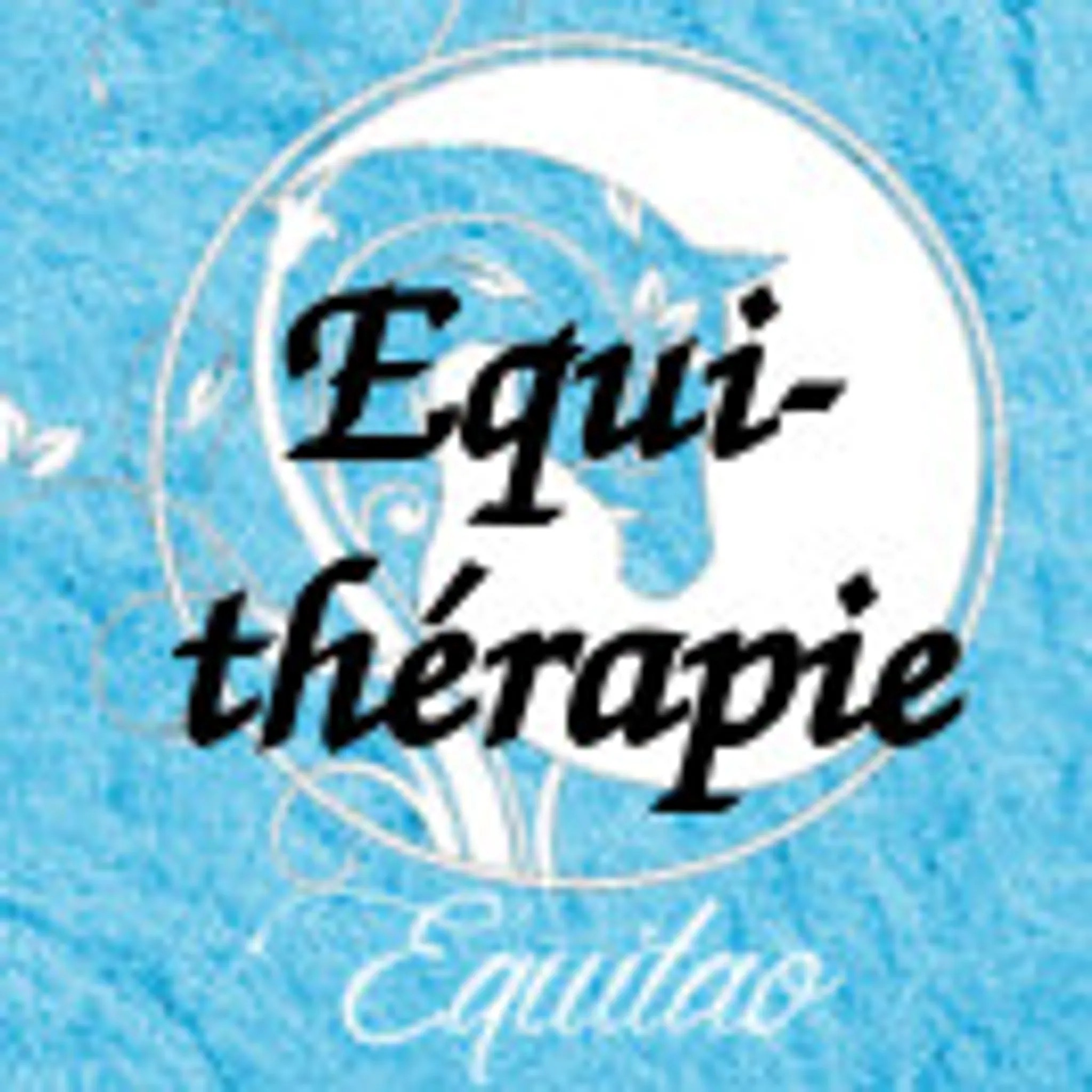 Espace Equestre Equitao