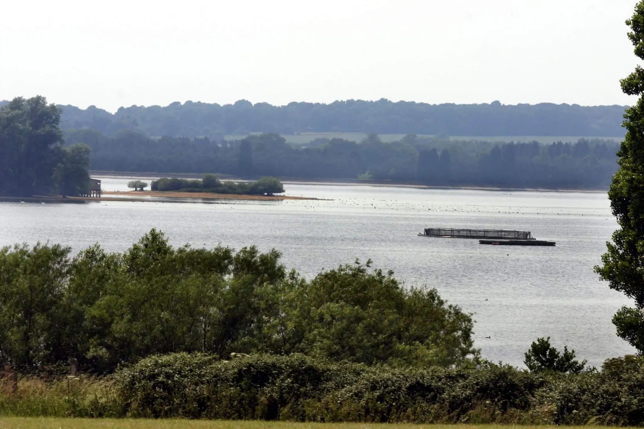 Fishing at Hanningfield