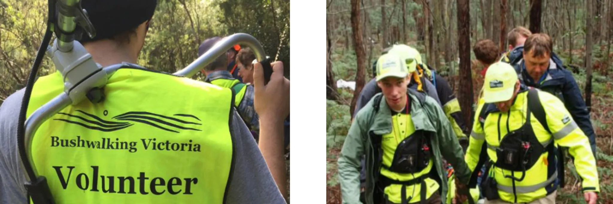 Bushwalking Victoria