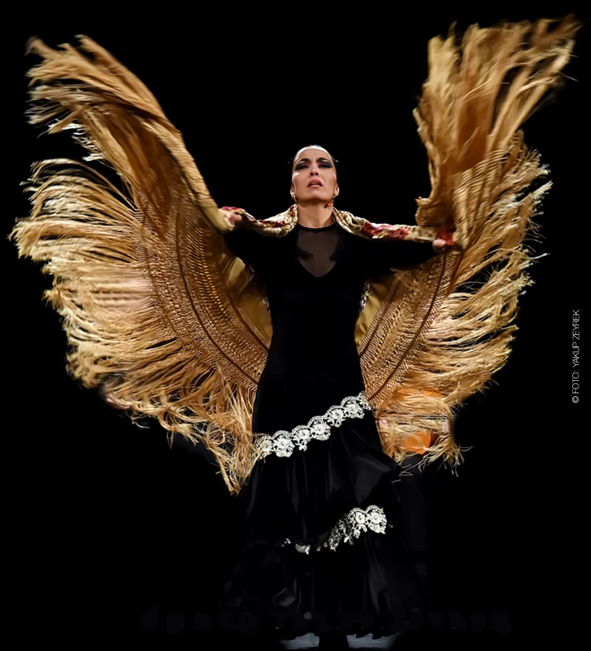 Flamenco Bremen Maria Rosa