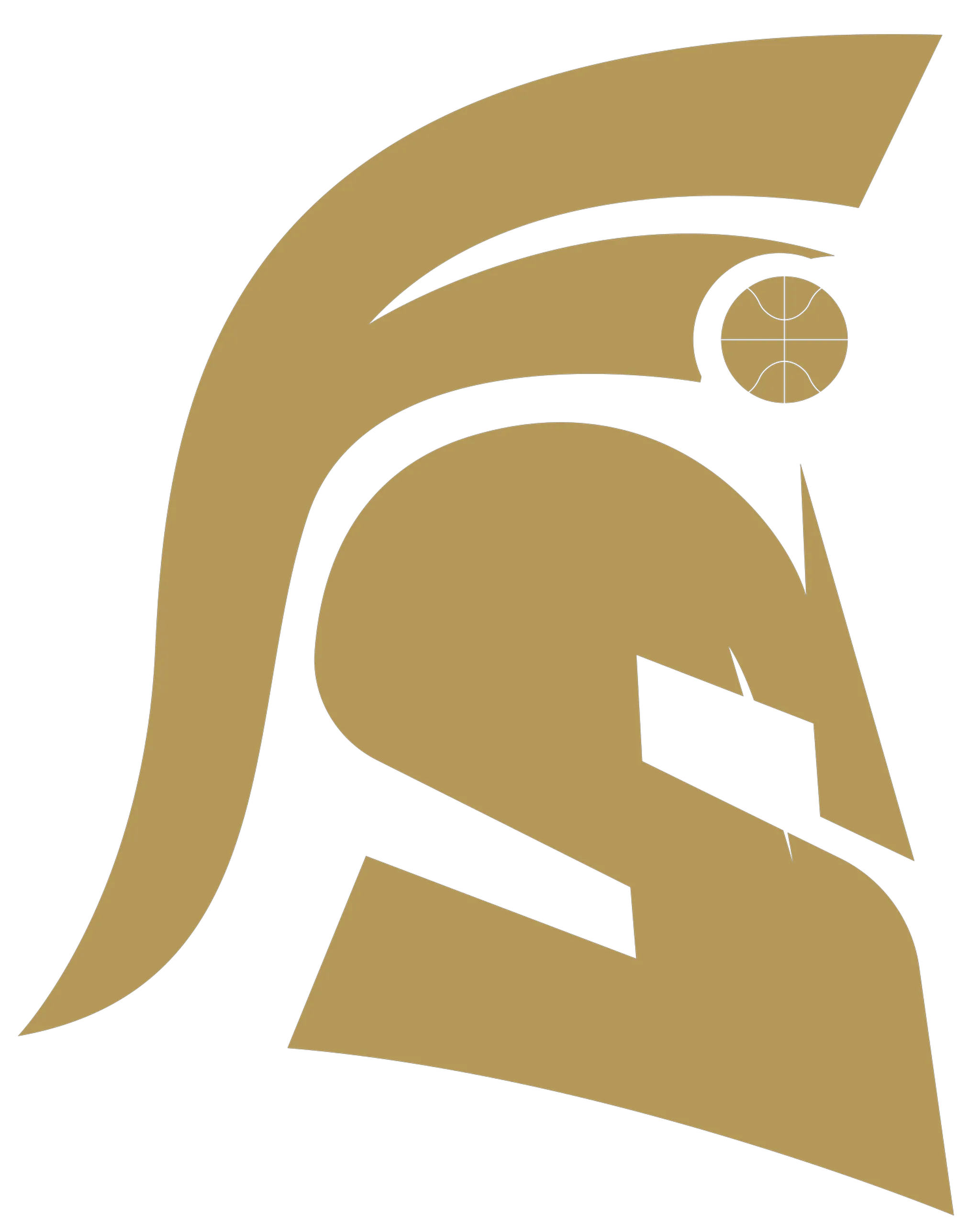 Castlemore Basketball