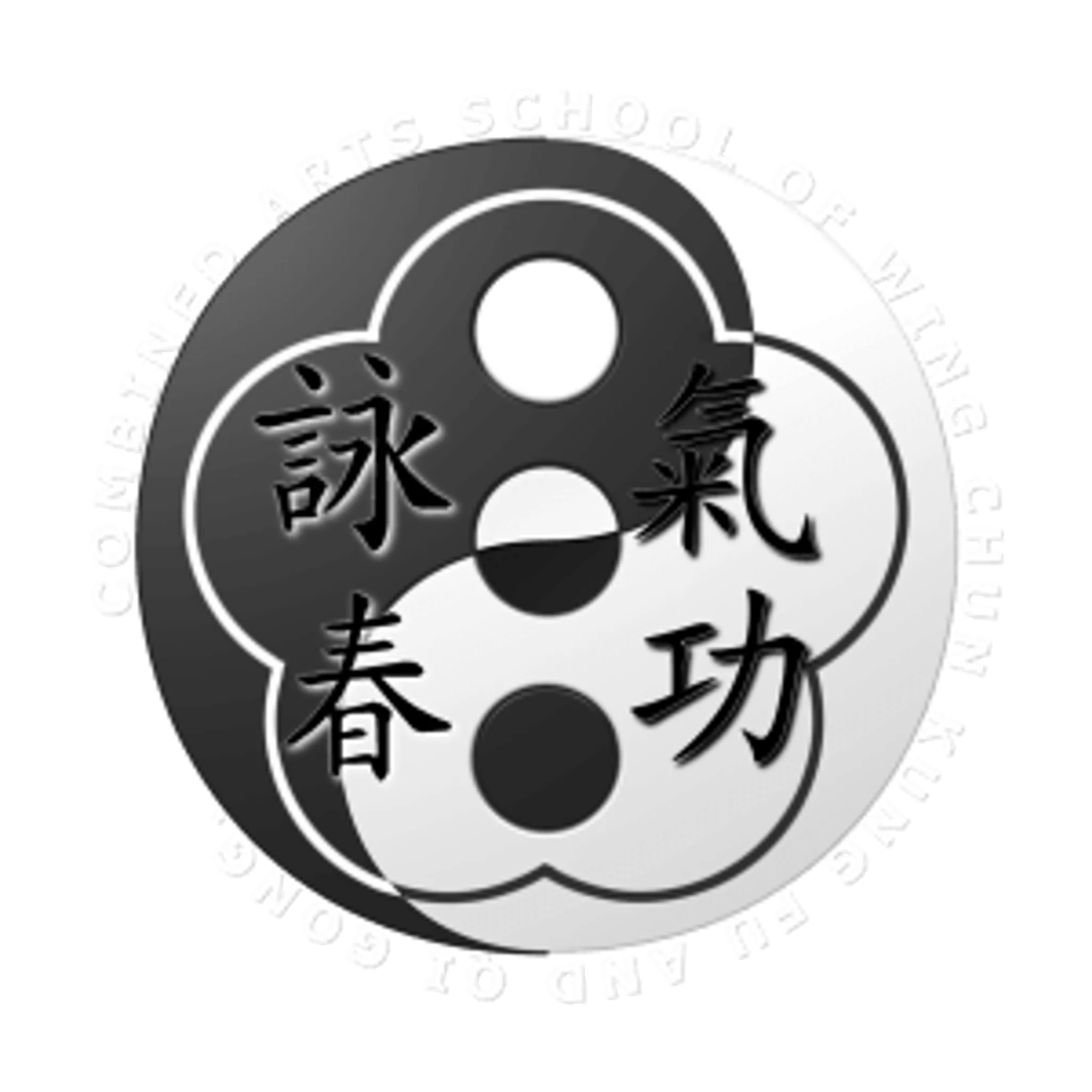 Combined Arts Wing Chun Kung Fu and Qigong Martial Arts School