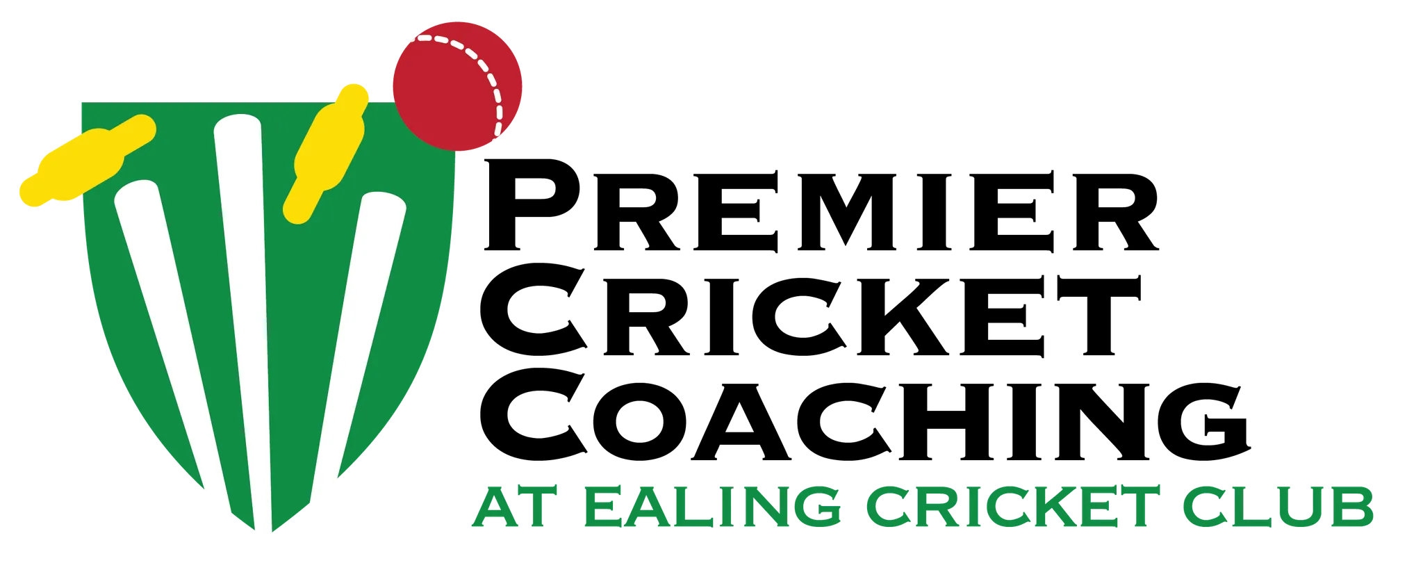 Premier Cricket Coaching
