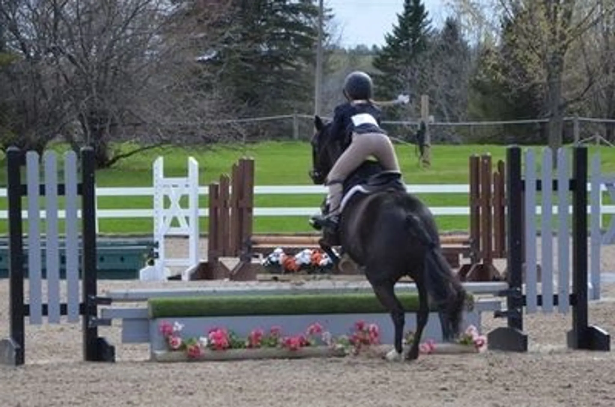 Summer Riding Camp at Holly Hill