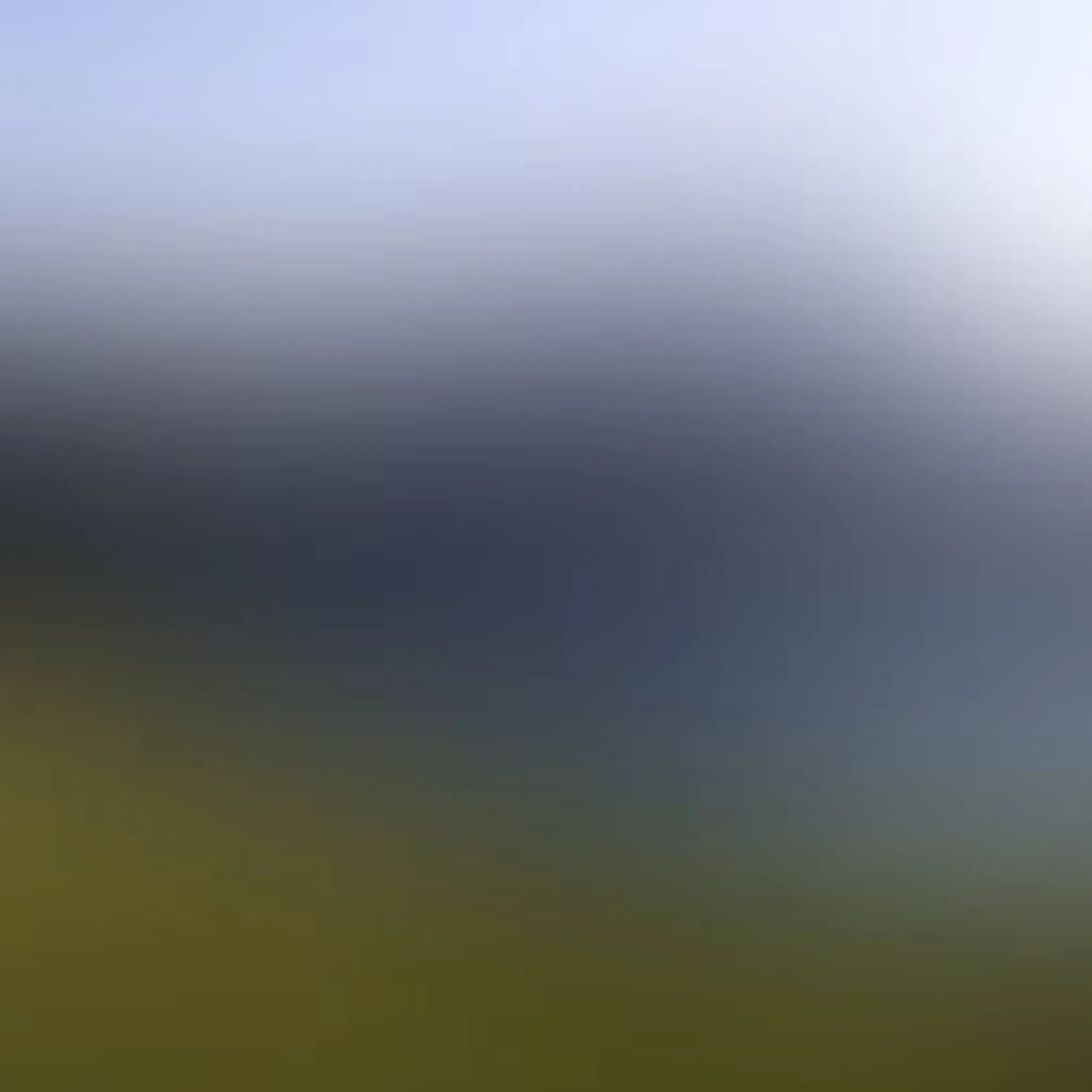 Ecole D'arts Martiaux Vietnamiens Stéphane Gaudard