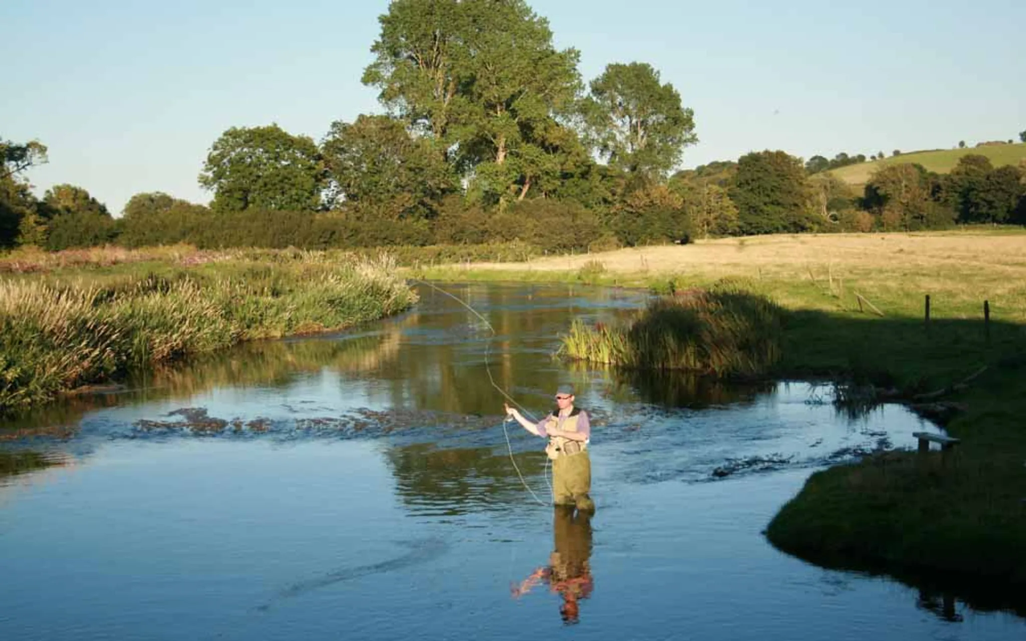 The Wrackleford Estate Fishery